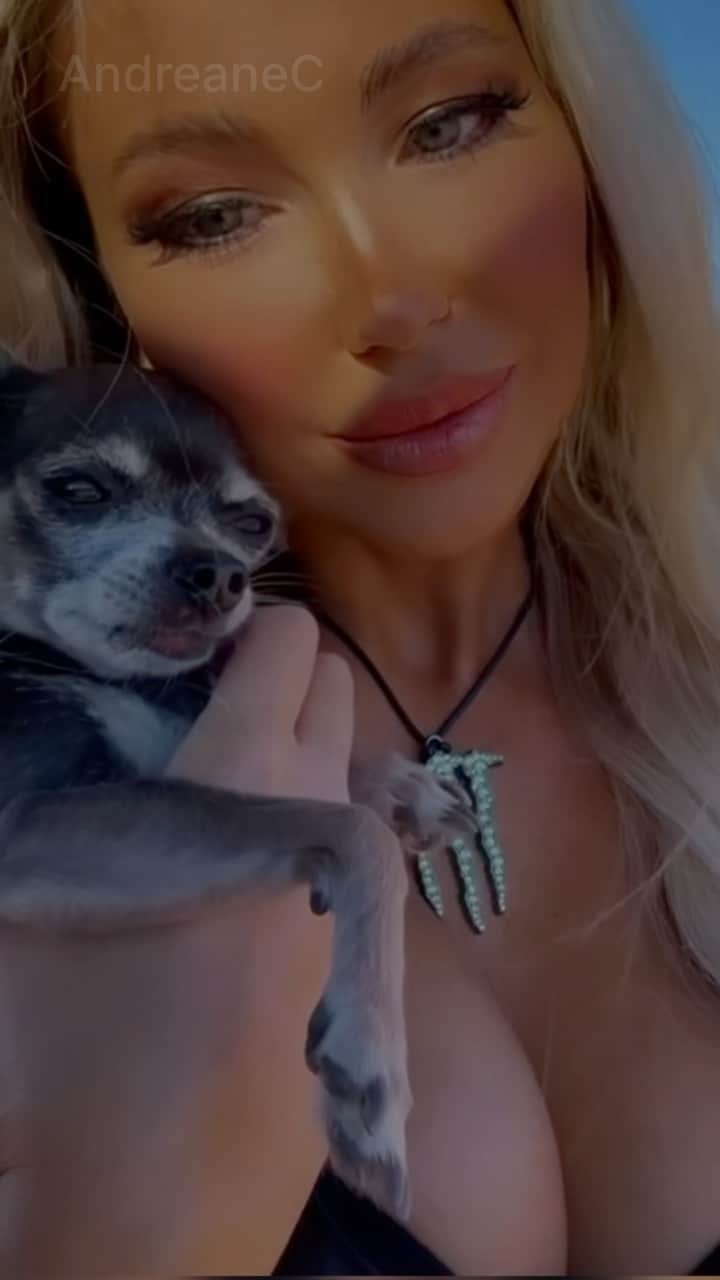 Andreane Chamberlandのインスタグラム：「Today would have been your birthday, 11 years old. Unfortunately you left us 8 days before your 11th birthday. I didn’t know that it would be our last walk, our last sunset together …I will always remember you.   Thanks for your unconditional love, for all the smile/ laughs you gave me and thanks for always being by my side!  A lot of people are going to say,  « It’s just a dog. » IT IS NOT It’s my baby, my family, my best friend.  « Why do you always bring your dog with you? »  Because we only have around 11 summers to spend with them! Never take it for granted!  My dog once said, « I won’t be your best friend for your whole life, because sadly, I won’t make it that long. But YOU will be my best friend for my whole life!  I am just a chapter in your life, but you are my whole book. »  Molly, I just want to tell you that you may be just a chapter in my life, but you were my whole life too. I will miss EVERYTHING about you.  No longer by my side, but forever in my heart. You were my favorite hello and my hardest goodbye!  MOLLY  I love you from the depths of my heart. 💔😭  There are no words to describe the pain right now.   #RIP #restinpeace #dog #doglover #doglovers」