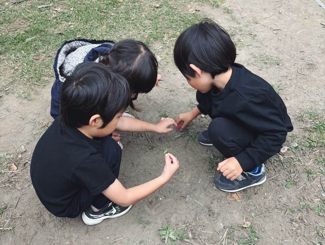 佐倉真衣さんのインスタグラム写真 - (佐倉真衣Instagram)「先日、幼稚園メンバーと初キャンプへ🏕️  総勢5家族でグルキャン！ どうなる事かと思いましたが、無事にみんな楽しく怪我もなく終えることができました💪  子どもたちは8名＋赤ちゃん！ 秋の大冒険🍁といった感じでテンション上がりすぎて途中カオスになりましたが、自然の中で思いっきり遊べてみんな良い顔してたな😁 幼稚園のお友達と夜まで遊べるなんて〜って。 そうだよね、そりゃ楽しいよね💓  大人たちも焚き火囲んで適度に食べ飲み喋り😙🍻🍖  息子のおかげで良い出会いができて感謝ですね🌼  #キャンプ #グルキャン」10月24日 20時10分 - maitanaka20