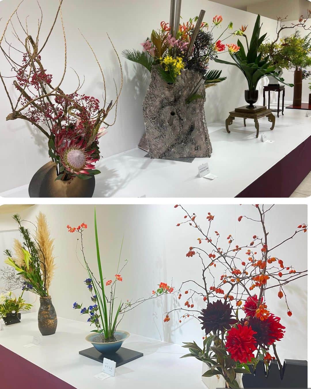 重長智子さんのインスタグラム写真 - (重長智子Instagram)「. . 今日から始まりました「静岡県華道展」 今年で70回目を迎えます。 早速 行ってきました☺️ . 様々な流派の作品が並び、 そのひとつひとつに引き込まれました。 . 秋の花を使ったものが多く、 表現力豊かな作品は心をも豊かにしてくれますね。 . また、いけばな体験もあり、 私が行った時間には、 花芸安達流の櫻井千鶴曈先生がいらっしゃいました。 . 櫻井先生が明るく楽しく教えてくださり、 素敵に仕上がりました♡感動です🥹 . この華道展は29日(日)までです🥀✨ . . #静岡県 #華道展 #松坂屋静岡店 #華道初心者 #詳しくなくても大丈夫 #詳しくなくても楽しい #いけばなに感動」10月24日 20時55分 - tomoko_shigenaga