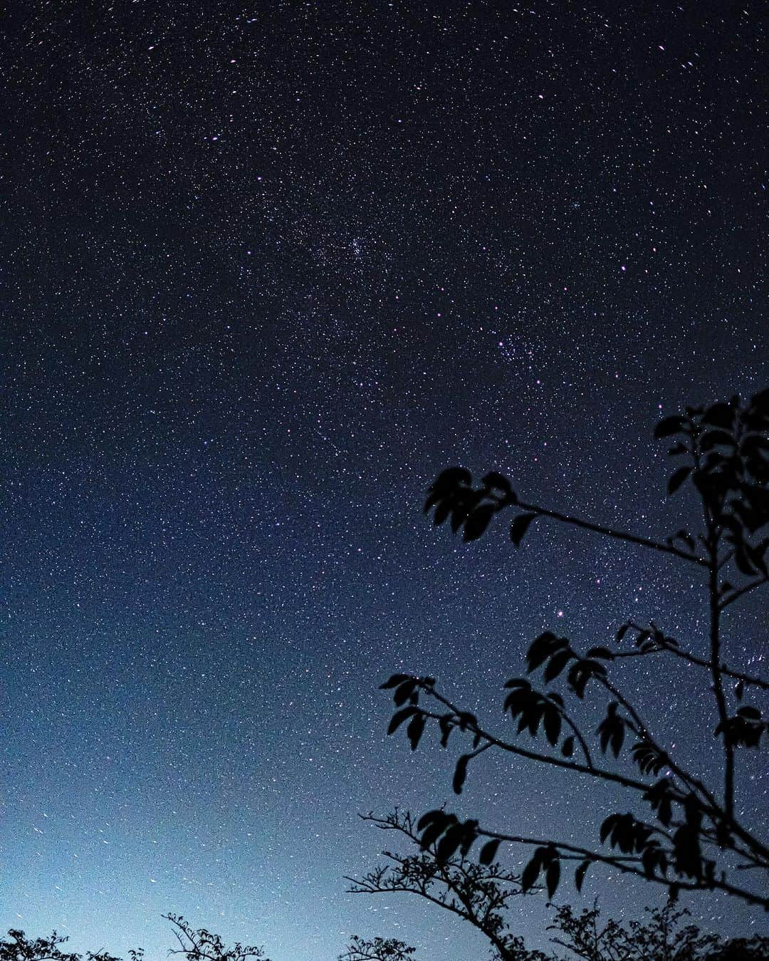 豊大槻さんのインスタグラム写真 - (豊大槻Instagram)「撮影: FUJIFILM X-H2 24mm f1.4 SS 2” ISO2500 ・ ・ 夜の撮影には少し寒さが厳しい季節になって来ました。 ・ ・ まだパーカ羽織るくらいで良いけど 昨日はそれでも寒かった... ・ 星空を 見に行こう！ __________  #星空  #自然  #風景  #海  #癒し  #天の川  #映像クリエーター  #映像制作  #カメラマン  #starrysky  #photographer  #healing  #nature  #view  #landscape  #moviecreator  #nightview  #cameraman  #beach  #photo  #photography」10月24日 12時00分 - yutakachi