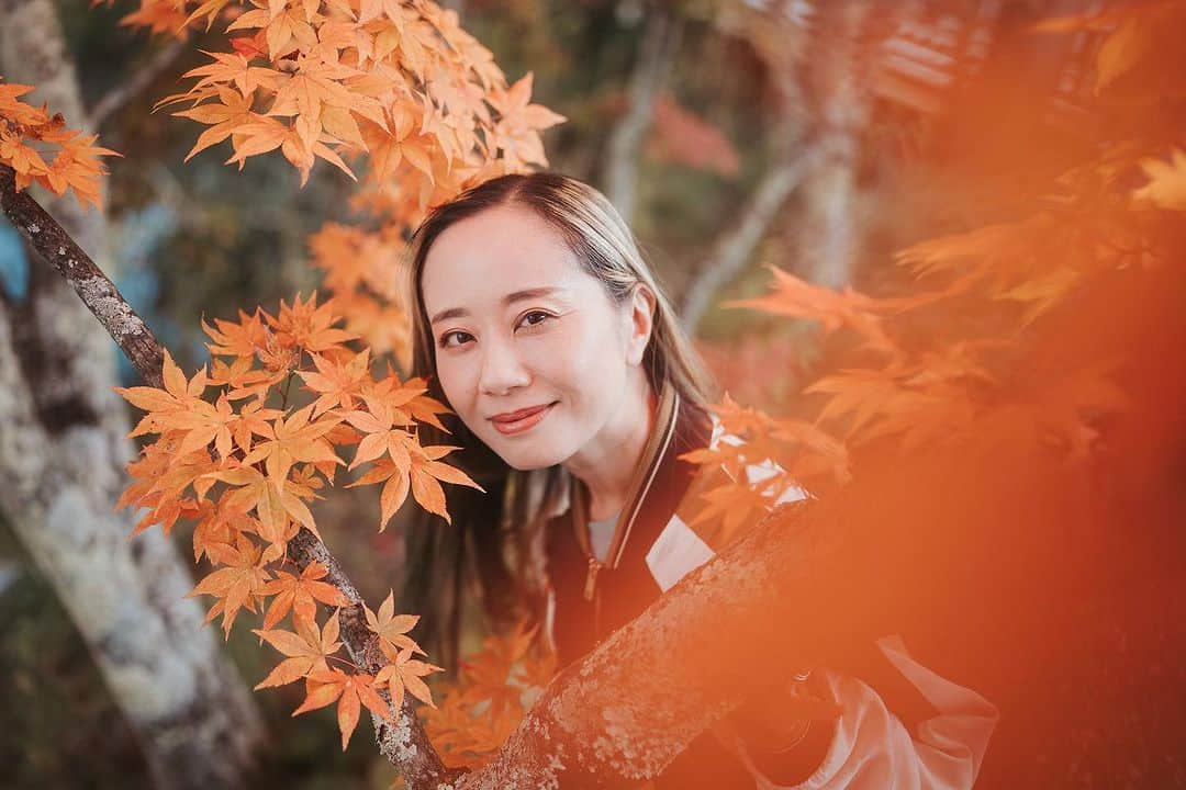 レイチェル・チャンのインスタグラム：「My favourite time of the year.  Fall foliage in the mountains…🍁Abundance , everywhere around us.  色のグラデーション、空とのコントラストが美しくて、贅沢なひととき✨ わたしたちは豊かさに囲まれているね🍁 受け取りモードに自然となる大事な時間…  #紅葉 #fallfoliage  #引き寄せ  #引き寄せの法則  #エイブラハム #エイブラハムの教え  #abundance #豊かさ #basharthecorgi」