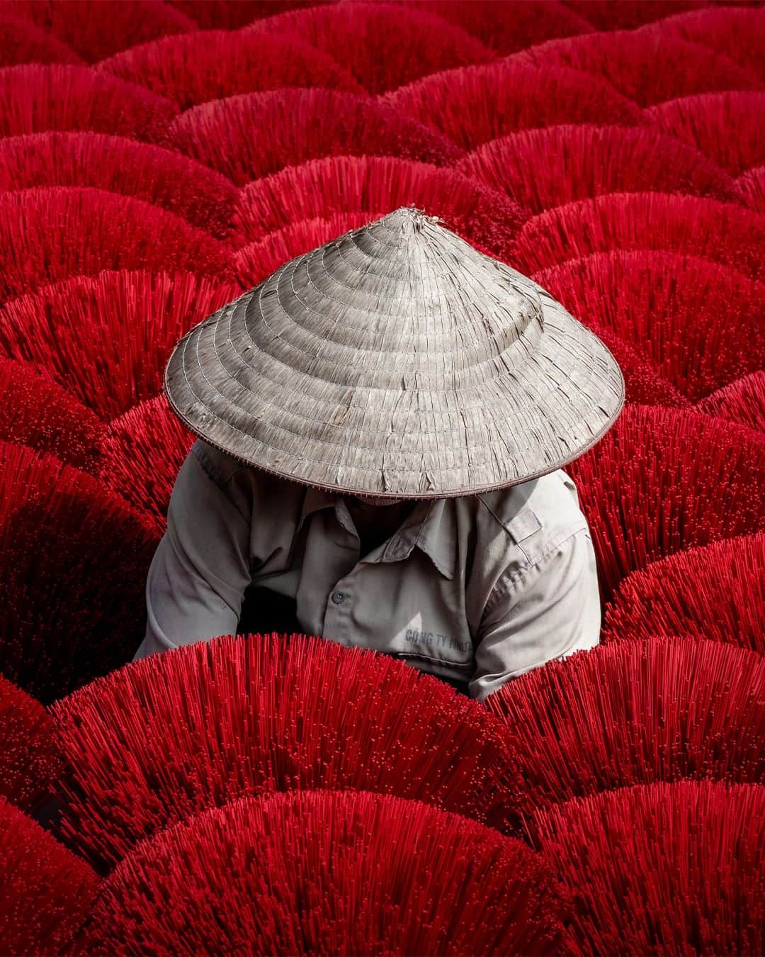 Nikon Australiaのインスタグラム：「@suzieweiss truly nailed a picture-perfect moment in the captivating Quảng Phú Cầu village, Vietnam, all thanks to the versatile NIKKOR Z 24-200mm f/4-6.3 VR lens – the ultimate travel companion!  "An easy one-hour drive out of bustling Hanoi lies a travel photography paradise. Quảng Phú Cầu village is most famous for its production of incense, used in many religious ceremonies and rituals in Vietnam. Incense production is a family affair, with several generations involved in manufacturing, dyeing, and drying bamboo sticks before they are coated in a fragrant paste.  The drying process is incredibly photogenic, with millions of sticks fanned out in bunches, creating a riot of colour, shapes, and patterns. Workers can be seen wearing traditional Nón lá hats, adding to the visual appeal. There are countless compositions to explore. My tip is to arrive early while the sticks are still drying and the light is gentle, allowing you to experiment with focal lengths and angles. At Làng làm hương đỏ, the family welcomes photographers and has erected high platforms for amazing top-down perspectives.  When I am out exploring and photographing candid scenes, I usually have my camera set in continuous mode, ensuring I'm ready for any spontaneous moments and increasing my chances of documenting 'the moment.' This setting proved perfect for this bustling village.  I'm not known for travelling light, and as usual, I brought along every lens I own on this trip. However, the incredibly sharp and lightweight NIKKOR Z 24-200mm f/4-6.3 VR rarely left my camera. It is the ideal all-round travel lens and a valuable addition to any Z series kit. I use it for street, portrait, fireworks, and landscape photography. It was a joy to head out for a day of exploration with only one camera, lens, and a spare battery in my pocket."  Photo by @suzieweiss   f/11 | 1/400 sec | ISO 200  📷 Z 7II and NIKKOR Z 24-200mm f/4-6.3 VR  #Nikon #NikonAustralia #MyNikonLife #NikonCreators #NIKKOR #NikonZ7II #Z7II #Zseries #TravelPhotography #LandscapePhotography #Australia」