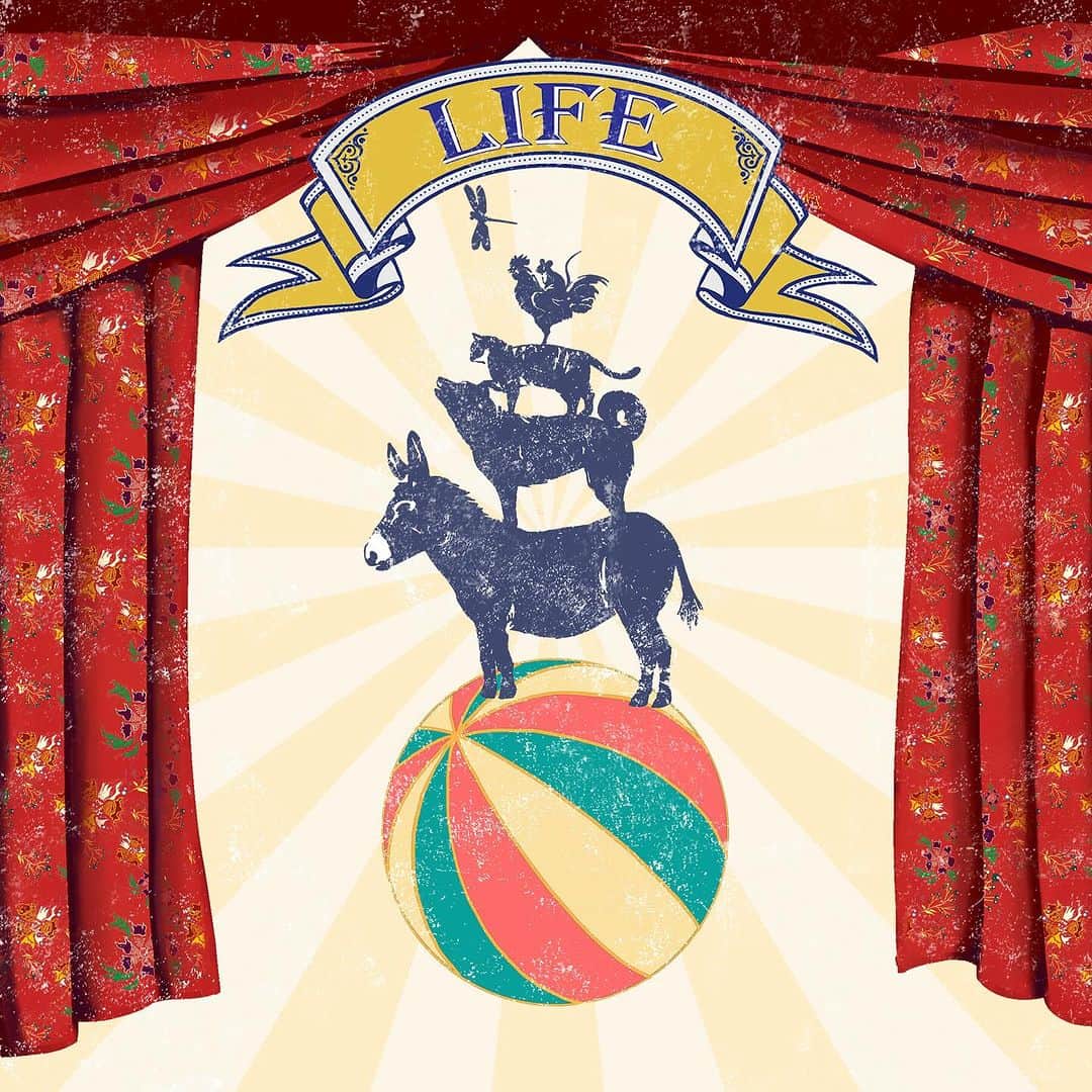 のインスタグラム：「／ 📢10/27(金) シングル「LIFE」 配信🎶 ＼  11月に発売予定のRockon Social Clubの2nd Albumからの先行配信シングル第１弾！ 今までとは違った、アップテンポで腕を突き上げたくなるロックナンバーです。  #RockonSocialClub #DontWorryBaby #LIFE」