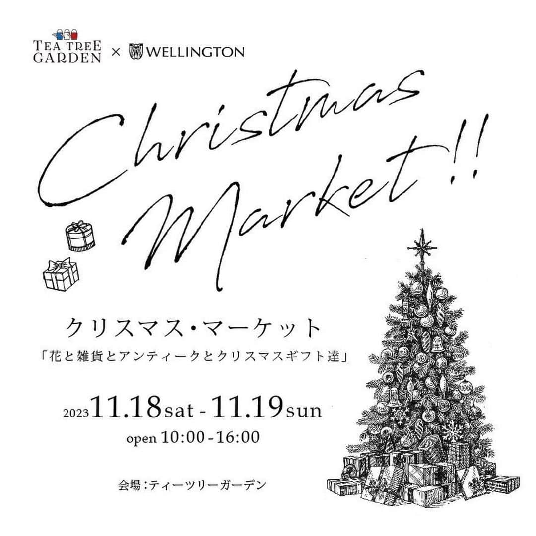 エミ ペインのインスタグラム：「11月18日（土）19日（日）  私の山小屋のご近所のむちゃくちゃ可愛いお店 @teatreegarden_shiga さんのクリスマスマーケットに 出店させていただくことになりました🎄♥️  オープンしたての頃のカイルアの雑貨屋muse room 覚えてくれてる方がここに来たら似ててビックリすると思う🩵  初めて @teatreegarden_shiga さんに行った時 お店の飾り方や販売されてる物の好みがあまりにも似てて "ここに私の感性ドッペルゲンガーがいる"ってビックリした😳  …と前置きは長くなりましたが、その私の好みドンズバな @teatreegarden_shiga さんでのクリスマスマーケットでは 少し織キズや訳ありで普通には販売出来なくて、対面式でしか 販売出来ない商品を破格で販売させていただきます☺️  この滋賀県の湖西エリアは他にも素敵なカフェや雑貨屋さん たーくさんあるので、是非この機会に志賀に遊びにきて ここの良さを知って欲しい♥️ 本当に熱いエリア🔥🔥🔥なの  ペインウソツカナイ  出店されるお店の中には私が大好きな アンティークショップ　@wellington_doors  さんが シャビーシックファニチャーフェアされるし ずっと行ってみたいと思ってるカフェ @cafe_cirque さん ずっとお会いしたかったフレンチテイストの女王みたいな @kayoboon さんもフランスからいらしてるし この２日間は私が一番興奮してると思う😝  #Repost @teatreegarden_shiga ・・・ クリスマス・マーケット 開催致します！  11月18日土曜日、11月19日日曜日 オープン　10:00-16:00  またまた、ウエリントンさんと 協力しあって、 とってもとっても楽しい2DAYS クリスマスマーケット開催です！  また、一味違うテイストで♥️ ヨーロッパのクリスマスマーケットをイメージして、各店舗出店していただきます！  ワークショップもあるよ！  ティーツリーは、クリスマスの設を楽しんでもらえるお花や雑貨をご用意します！ シクラメン…入るといいなぁ😆♥️  クリスマスギフト🎁ショップのようなかわいいお店が並びます！  現時点の出店者様は、↓↓↓  🎄🎄ウエリントン🎄🎄 クリスマスにピッタリ！ シャビーシックファニチャーフェア  ⭐︎ウェリントンの職人がオリジナルエイジングペイントを施し、シャビーシックに仕上げた小ぶりなフランスアンティーク家具を販売されます！ @wellington_doors  @setong1212   ウエリントンのワークショップ ステンドグラスでつくる！ クリスマスオーナメントづくり！  🎄🎄村田屋さん🎄🎄 またまた一点ものがくるーー😍 村田屋サンタ🎅さんに‼️ 村田屋さん秘蔵の一点ものガーデン雑貨販売👏👏👏 クリスマス雑貨もたくさんあります🎁 @murataya_san   🤶🎄choaharastrawberry🎄🤶 犬服ブランド　ワンコのお洋服販売 クリスマスにワンチャンも、可愛くお洒落しませんか？我が家のピピププもチュルリラ(首巻)愛用中です！ @choaharastrawberry   🧁🤶カフェシルク🤶🧁 京都の大人気タルトカフェ！シルクさんも、タルトを持ってきてくれます！ 美味しい美味しいこだわりのタルトをぜひ食べてくださいね！ @cafe_cirque   🎄Mガーデン🎄 後日詳細発表！！ @m_garden2019   🎄ラヴィのお店🎄 後日詳細発表 @ravi_no_omise   🎄yuko’s🎄 後日詳細発表 @yukobooom   🎄MUSE by RIMO🎄 サンプルSALE 50-80% OFF @muse_by_rimo   まだまだ増える予定です🎁 ♥️🎅 楽しみにしてくださいね！  #ティーツリーガーデン #クリスマス #お花　#庭　#ガーデニング　#ガーデン　#庭仕事　#クリスマスマーケット」