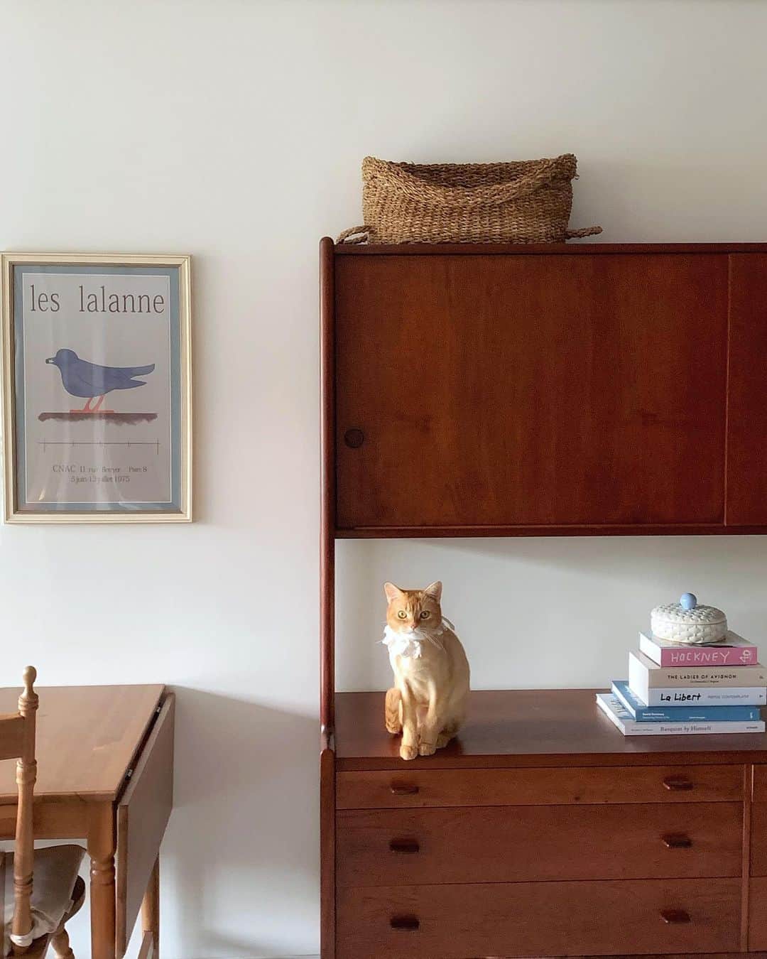 セム さんのインスタグラム写真 - (セム Instagram)「집에서 고양님들과만 있는 시간 천국 근데 반다 레이스 되게 안어울리네🤎」10月24日 13時16分 - iamyina