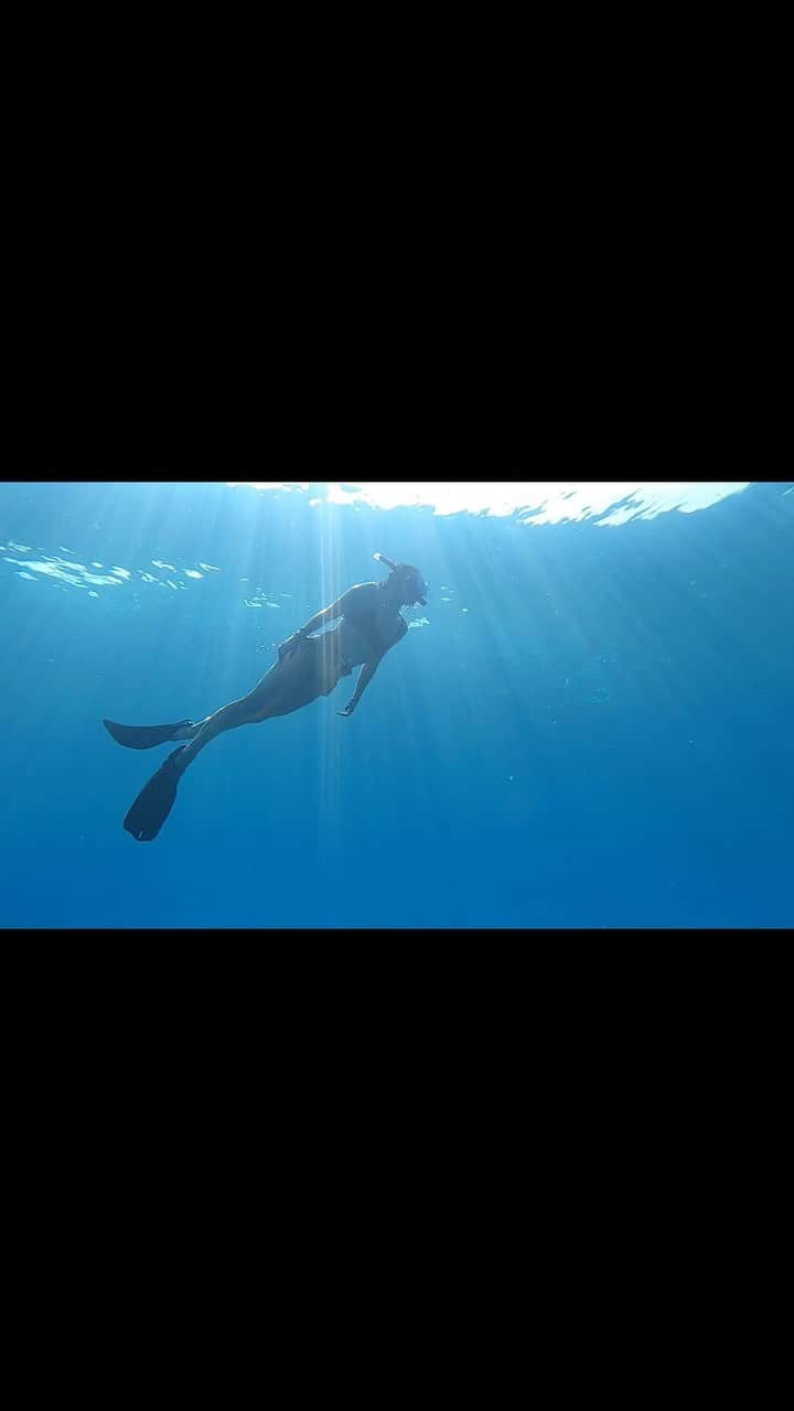 ブリアナ・エヴィガンのインスタグラム：「A little magical birthday yesterday thank you Damien for getting me back in the water! We went free diving and have had ptsd over an ear issue I had years ago! It felt so good to be back in the underworld. The ocean, one of the most important parts of our planet. It was refreshing and gave me hope to see life underwater again. With everything going on in the world right now, all of its heaviness, torture, and disconnect. It was a moment of deep connection to the planet, silence, mediation and therapy watching the turtles and fish live their lives the way they do. Complete peace, other than when we found a Nemo fish and it’s baby looking terrified to come out of a plant it was hiding in. 🤣very grateful for this trip and all the humans we’ve been with for the last month. It’s been a difficult come down actually and personally confronting in all the most beautiful ways. Feelin lucky and blessed to be alive and surrounded by so much unconditional love and human connection. May the overwhelm, adventure, spontaneity, family time, and abundance continue on our beautiful honeymoon! ♥️」