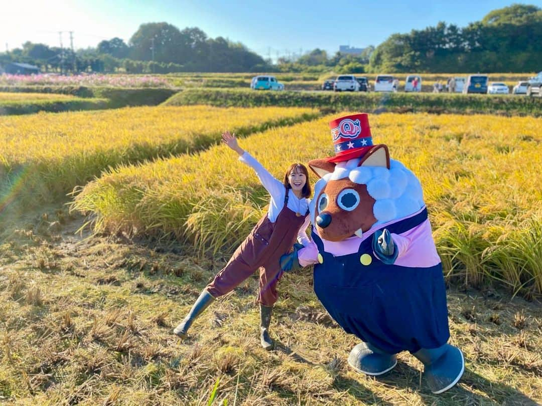 小松﨑花菜さんのインスタグラム写真 - (小松﨑花菜Instagram)「・ 実りの秋ですね😋🍚  今朝は愛知県阿久比町からお伝えしました！ れんげの花を土に混ぜて作られた”れんげちゃん”🌾  炊き立ての新米、美味しすぎました🤤 粘り気があって甘くてもちもちした食感が特徴です。  実はわがマチ撮レジャーで食べたことがあり、 れんげちゃんとは久々の再会でした🙋‍♀️笑  最高の朝ごはんになりました☀️  #愛知 #阿久比町 #つづき農場 #新米 #れんげちゃん #稲刈り体験 #ドデスカ #生マチQ #アナウンサー #小松﨑花菜 #ウルフィ」10月24日 14時10分 - hana_komatsuzaki