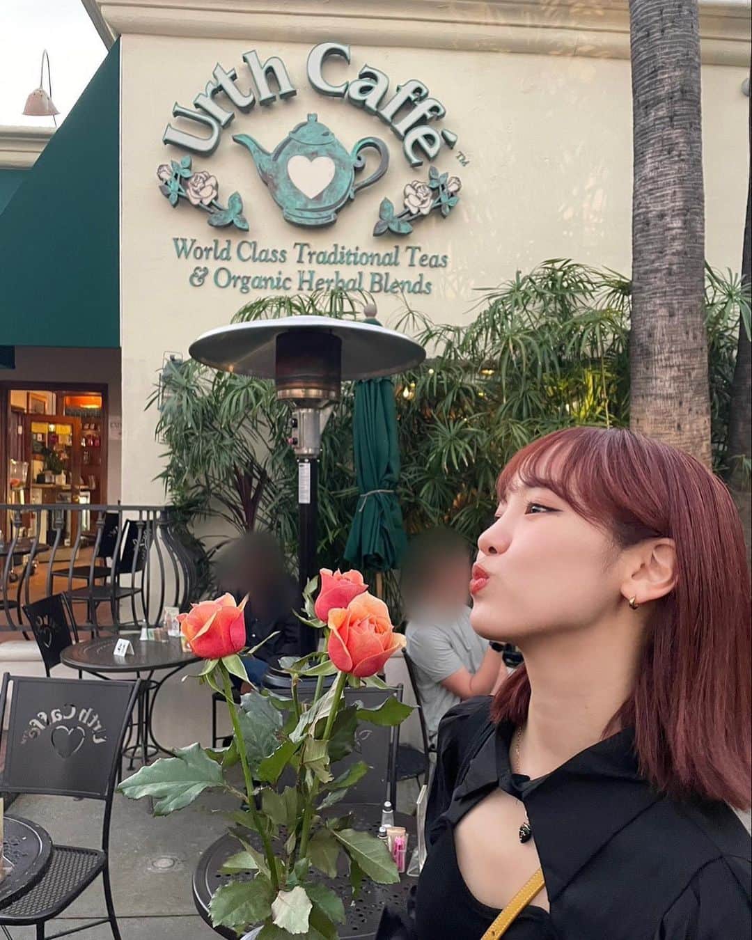 飯窪春菜さんのインスタグラム写真 - (飯窪春菜Instagram)「🌹  Urth Caffeにて。 テラス席に座っていたら突然おじさまからバラをプレゼントされました☺️  咲乃ちゃん、まり、と3人分を一輪ずつ頂いて ステイ先に持ち帰って最終日までダイニングテーブルに飾って過ごしました🫶🏻  #la #urthcafe #一瞬 #バチェラー #が頭をよぎったよ」10月24日 14時44分 - harunaiikubo_official