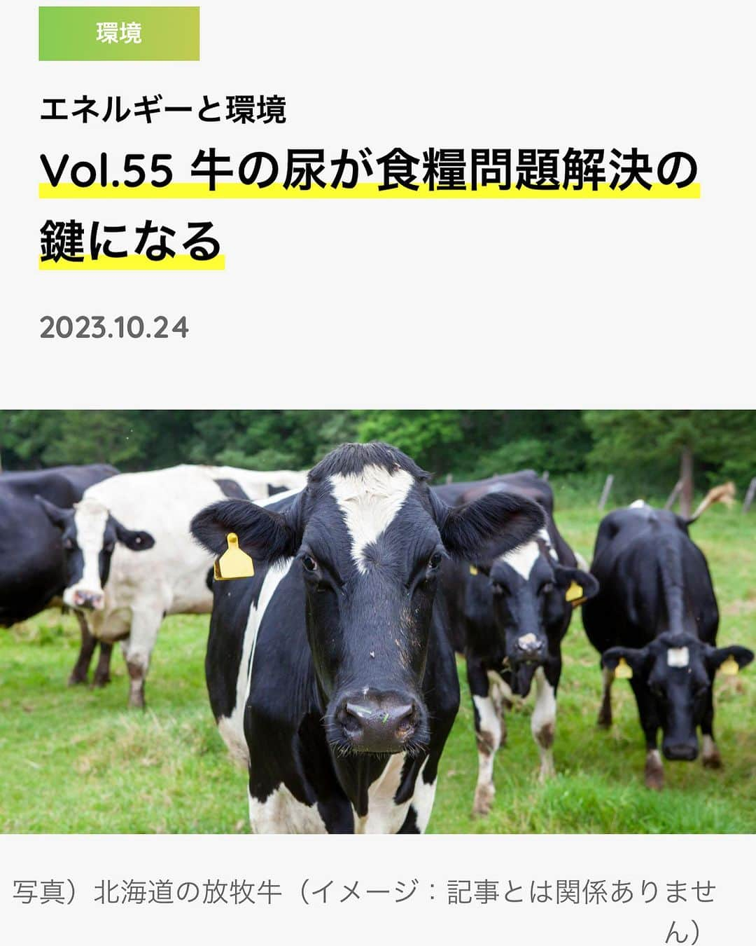 安倍宏行さんのインスタグラム写真 - (安倍宏行Instagram)「牛の尿が食糧解決問題の鍵になる  牛の尿を原料に消臭液を作っている会社がある。 消臭液には、植物の生長を促進する効果があることがわかった。 また、水質改善効果も検証中で、水資源の保全にも貢献できる可能性も。  #エネフロ#エネルギーフロントライン#環境大全#牛#尿#消臭剤#きえーる#生長促進#微生物  この記事の続きはプロフィールのリンク、またはこちらから　 https://ene-fro.com/article/ef316_a1/」10月24日 15時03分 - higeabe