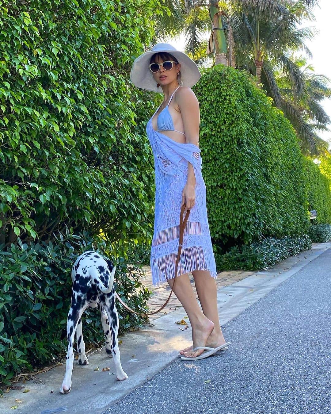 Amanda Cernyさんのインスタグラム写真 - (Amanda CernyInstagram)「Drop everything and enjoy the Florida weather kinda day🥰 life is short. Remember to really enjoy it , pet a pup, and spread love and kindness wherever you go.」10月24日 15時34分 - amandacerny