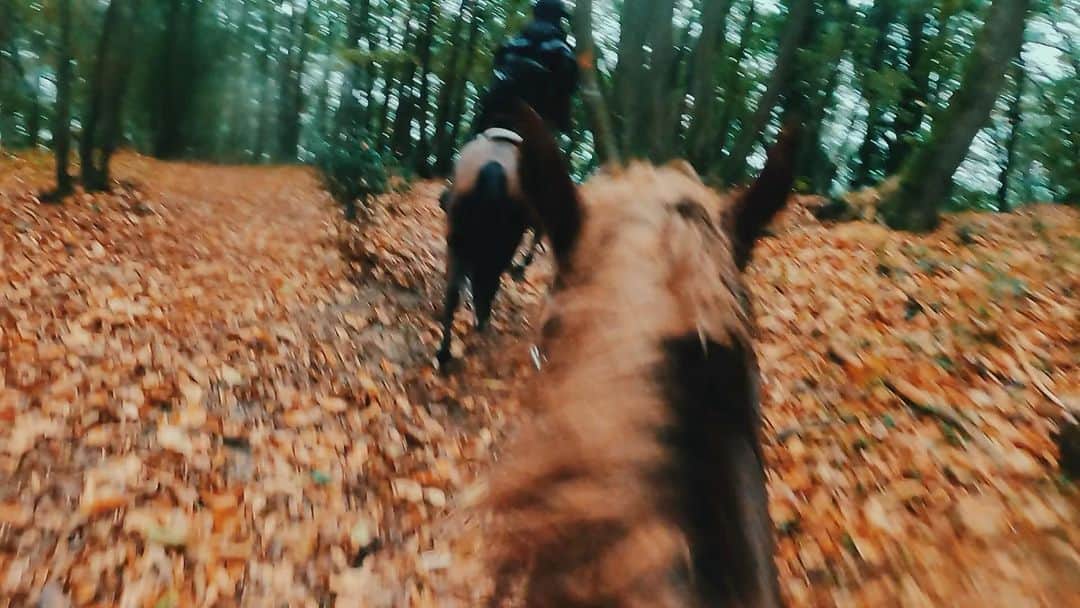 白澤貴子のインスタグラム：「I'm sooo excited about horse trekking in the heavy rain  パリから電車で1時間ほどの場所、Vallée de Chevreuseへ。  なぜかこの日だけ大雨が降りびしょ濡れになりながらの2時間の騎乗は、寒くもなく、むしろ雨のおかげでとても貴重な体験ができた。  木々の間を潜り抜けながら自分の足でも登れないほどの急斜面を激しく駆け上った時のものは残念ながら撮り損ねてしまったけれど、ガイドしてくれたアンナと気持ちいいー！と叫びながら乗るほどの高揚感でこの上なく幸せ。  雨のためさすがにいつものピクニックはせず、小屋で軽く乾杯して帰宅しましたとさ。  #白澤とパリ #白澤と外乗 #_tahco_et_cheval #horsehacking」