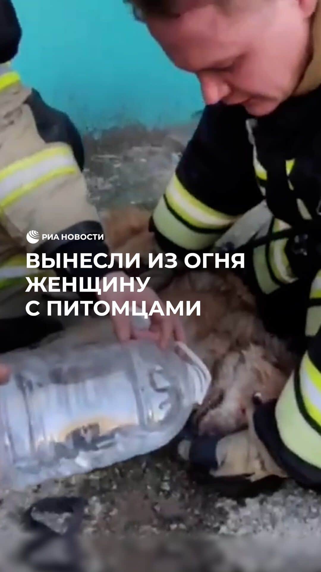 RIAノーボスチのインスタグラム：「В Благовещенске спасатели вытащили из пожара женщину и ее четвероногих питомцев. Хозяйку увезли в больницу, а коту и собаке оказали первую помощь на месте.」