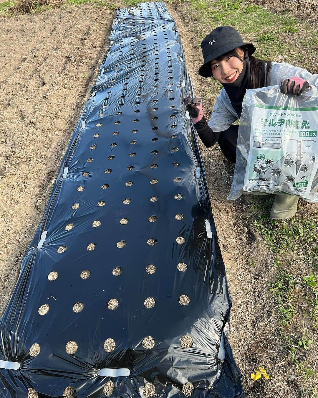 そらなさゆりのインスタグラム：「⁡ ⁡ ⁡ ⁡ 今日はそらな農園に玉ねぎを植えました🌱 ⁡ 大玉、赤玉、中晩生！ ⁡ ⁡ ⁡ そして次なる作物のために土づくり&耕運機！ ⁡ 耕運機をかけていると、たまーに掘りこぼしのサツマイモが出てきますw ⁡ ⁡ 大きく育ってね〜！ ⁡ ⁡ #そらな農園 #農園 #畑 #家庭菜園 #農業 #玉ねぎ #モンキーバナナ」