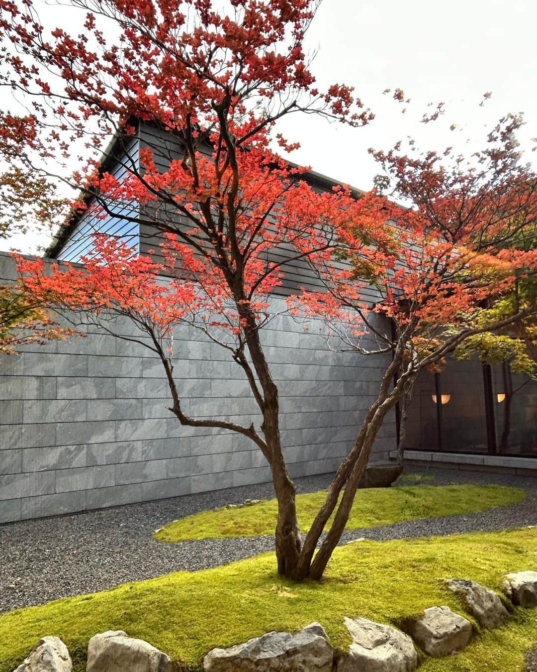 RINAさんのインスタグラム写真 - (RINAInstagram)「今日は夜中出発だったけど、この素敵な景色を見れて、幸せいっぱい🍁 日光は紅葉も始まりました、どこ見ても綺麗でした。😍 日本のもう一つのお気に入りな時期❣️ #nikko #紅葉 #japannature」10月24日 15時46分 - rina_karina0417
