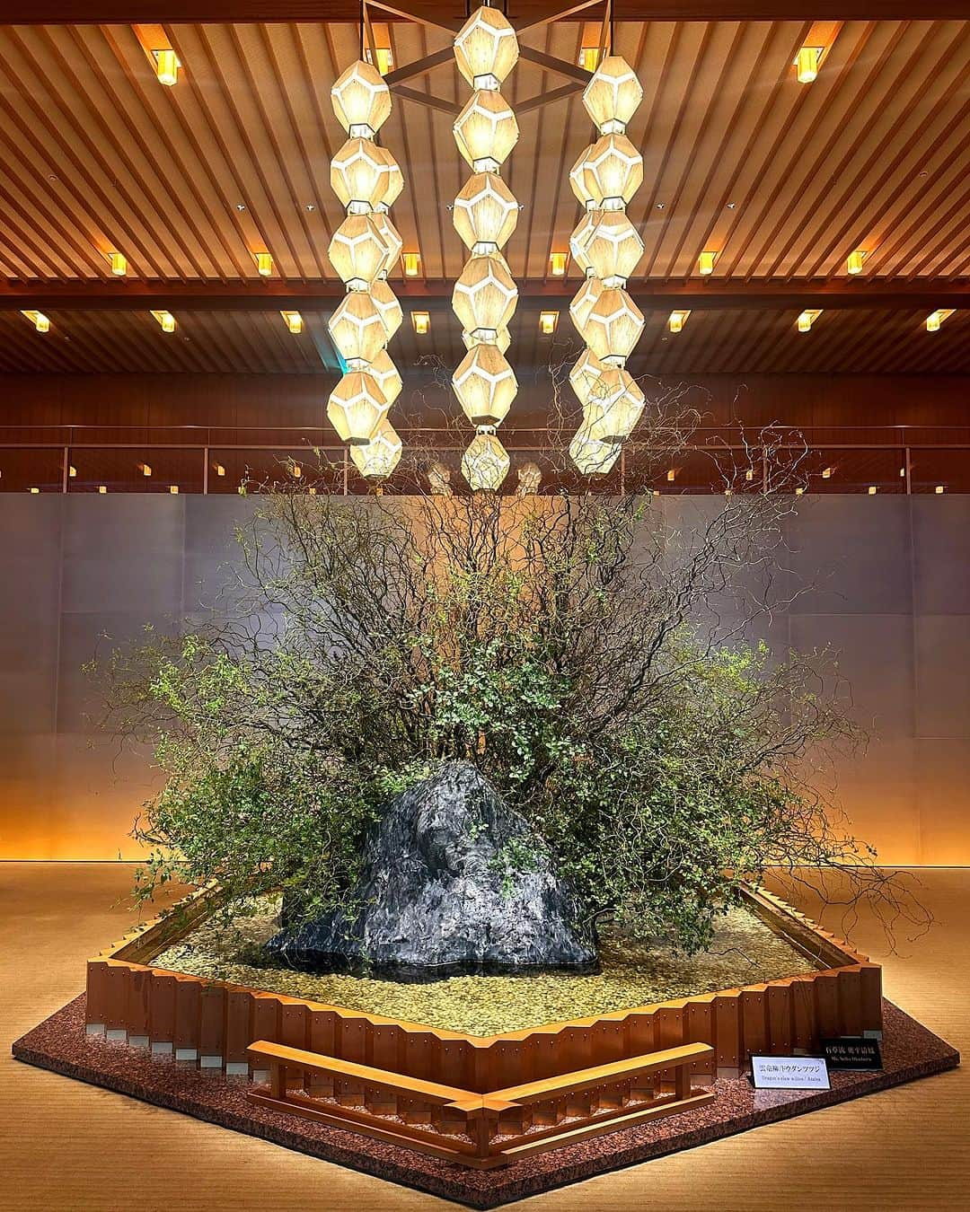 ホテルオークラ東京 Hotel Okura Tokyoさんのインスタグラム写真 - (ホテルオークラ東京 Hotel Okura TokyoInstagram)「Today’s Ikebana at lobby🇯🇵 本日の生け花📷  Main Lobby The Okura Prestige Tower メインロビー オークラ プレステージタワー  #六角 #オークラランターン #ホテルロビー #設計 #谷口吉生 #東京ホテル #ラグジュアリーホテル  #theokuratokyo #オークラ東京 #okuralantern #architect #YoshioTaniguchi #hotellobby #tokyohotel #luxuryhotel #lhw #lhwtraveler #uncommontravel #东京 #酒店 #도쿄 #호텔 #일본 #ญี่ปุ่น #โตเกียว #โรงแรม」10月24日 16時09分 - theokuratokyo