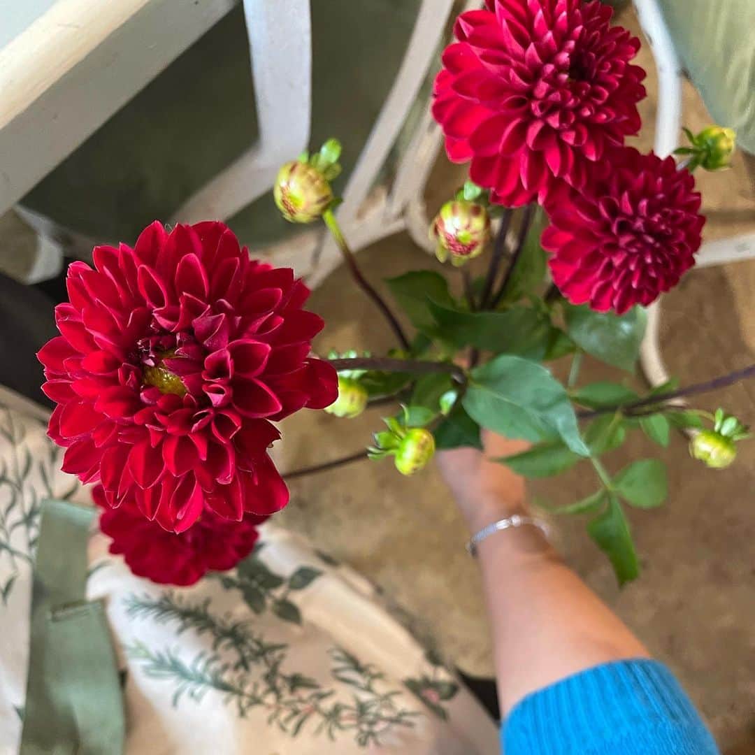 청담 수케이크 (atelier soo)さんのインスタグラム写真 - (청담 수케이크 (atelier soo)Instagram)「ㅡ 가을꽃에또반함,꽃멍  @beauteetbonte ❣️」10月24日 16時14分 - soocake_ully