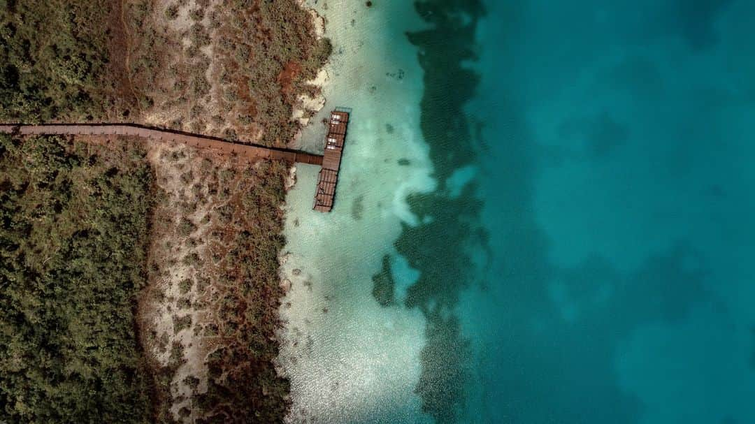 Wallpaperさんのインスタグラム写真 - (WallpaperInstagram)「The new @bocadeagua hotel overlooks the crystal clear waters of Lake Bacalar in Mexico’s Yucatan Peninsula. Designed by architect @fridaescobedo, the low-density hospitality destination aims to make a positive impact on its environment. ⁠ ⁠ It comprises a series of spacious and carefully crafted jungle tree houses, made from local FSC certified tropical hardwood and elevated from the ground to minimise their impact and footprint on the site. Over 90 per cent of the 82 acres plot remains untouched and will be part of a conservation programme.⁠ ⁠ 🖊: Ellie Stathaki⁠ ⁠ #wallpapermagazine #bocadeagua #mexico #hotel #mexicanarchitecture #mexicanhotel #fridaescobedo #hospitality #sustainabledesign #yucatan⁠」10月24日 17時00分 - wallpapermag