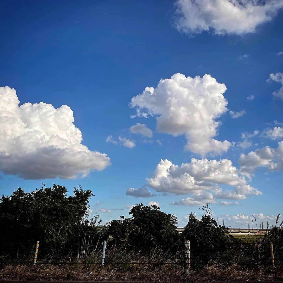 田中香子さんのインスタグラム写真 - (田中香子Instagram)「10月暮れの、夏の雲。 もくもく美味しそう☁️  #sooの撮り空」10月24日 17時37分 - soo.yt