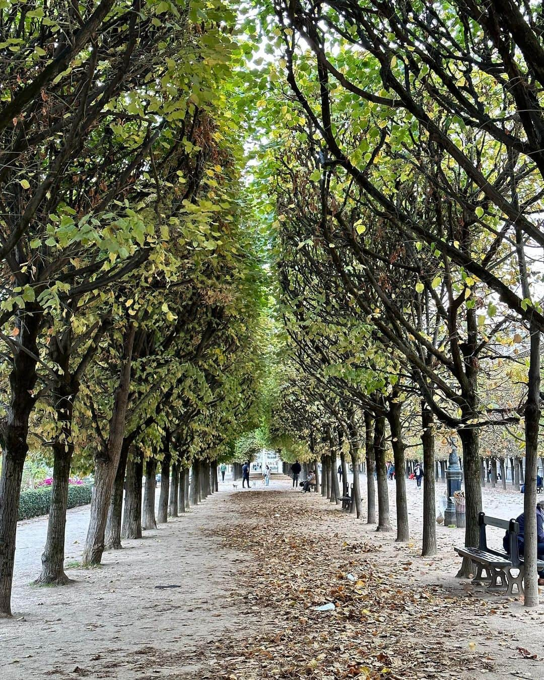 ペルニール・ブルームさんのインスタグラム写真 - (ペルニール・ブルームInstagram)「Paris, je t'aime ❤️」10月24日 18時33分 - pernilleblume