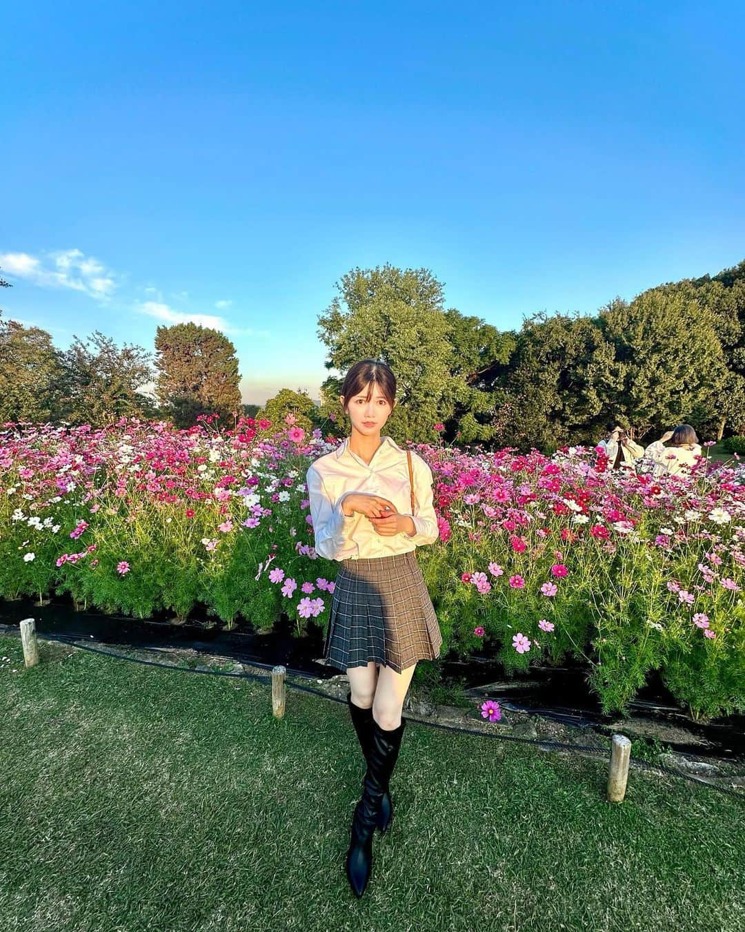 IKUMIさんのインスタグラム写真 - (IKUMIInstagram)「🏵️  鶴見緑地公園がコスモスで満開だったよ〜！！ コキアや金木犀も見頃でちょうどいいタイミングに来れた👌🩷  やっと秋を感じ始めた今日この頃🍂  お花畑って心も癒されるし、季節も満喫できるし 毎年行きたくなる🫶  バラはまだ咲き始めだったけど、コスモスとかは今がちょうど満開だったから みんな急げーー！！💨  .  #鶴見緑地 #鶴見緑地公園 #コスモス #コスモス畑 #花畑#コスモス祭り #大阪#鶴見#梅田#難波#心斎橋#大阪ミナミ#天王寺#西成#堺#ロングブーツ#ミニスカート#asiangirls #asianbeauty #asianmodel #japanesegirl #japanesemodel #インスタグラマー#モデル撮影#被写体モデル#撮影モデル#モデルになりたい#アパレルモデル#広告モデル#着画モデル」10月24日 19時01分 - miiiino3o