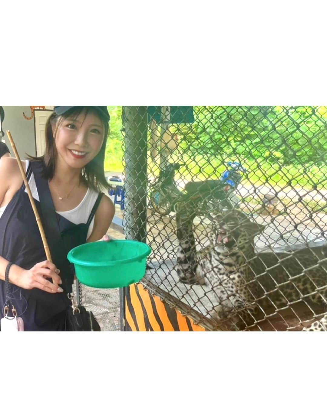 みまるさんのインスタグラム写真 - (みまるInstagram)「Kanchanaburi🦒🦓🐫🥕  3枚目から動画音量注意⚠️🎥 #20230902  #時差投稿  #safariparkkanchanaburi  #erawanwaterfall  #カンチャナブリ  #エラワンの滝  #カンチャナブリサファリパーク  #みまる #mimaru #🇹🇭 #海外移住 #タイ #バンコク #タイ移住 #バンコク生活 #bangkok #thailand #海外生活  #海外旅行  #ナチュラルライフ #干物女 #自由人 #youtuber #バンコク情報  #みまるチャンネル  #バンコク観光 #バンコク旅行」10月24日 19時08分 - mimaru_dayo