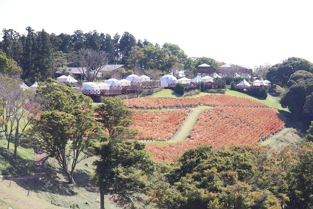 【公式】東京コミュニケーションアート専門学校ECOさんのインスタグラム写真 - (【公式】東京コミュニケーションアート専門学校ECOInstagram)「動物ワールド マザー牧場実習🐏Bクラス のお写真です🙌  お天気も良く、素晴らしい実習日和でしたね🌱 皆さん、学びながらもしっかり楽しめた様子で羨ましいです〜😊  . ・－・－・－・－・－・－・－・－・ ⁡ 学校説明会やオープンキャンパスも実施しております🐰🌱 ぜひご参加ください🕊🛰 ⁡ ・－・－・－・－・－・－・－・－・ ⁡ #tca東京eco動物海洋専門学校 #tcaeco #動物 #海洋 #ペット #自然環境 #恐竜 #専門学校 #オープンキャンパス #oc #進路 #動物園 #飼育員 #牧場 #マザー牧場」10月24日 19時26分 - tca_eco