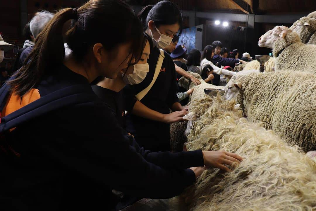 【公式】東京コミュニケーションアート専門学校ECOのインスタグラム：「動物ワールド マザー牧場実習🐏Bクラス のお写真です🙌  お天気も良く、素晴らしい実習日和でしたね🌱 皆さん、学びながらもしっかり楽しめた様子で羨ましいです〜😊  . ・－・－・－・－・－・－・－・－・ ⁡ 学校説明会やオープンキャンパスも実施しております🐰🌱 ぜひご参加ください🕊🛰 ⁡ ・－・－・－・－・－・－・－・－・ ⁡ #tca東京eco動物海洋専門学校 #tcaeco #動物 #海洋 #ペット #自然環境 #恐竜 #専門学校 #オープンキャンパス #oc #進路 #動物園 #飼育員 #牧場 #マザー牧場」