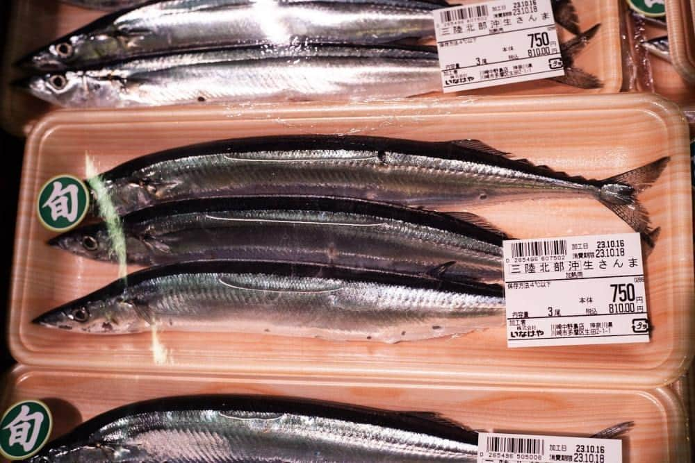 The Japan Timesさんのインスタグラム写真 - (The Japan TimesInstagram)「Japan’s annual haul of saury — sanma in Japanese — has plunged in recent years, pushing up prices and leading to concerns that the days of enjoying this fatty, tasty and cheap fish — a fall delicacy and source of myriad cultural and culinary references — may be coming to an end.  Before the pandemic, for example, the saury festival in Meguro typically offered around 5,000 free fish to over 30,000 visitors on a first-come, first-served basis. This year, only 2,000 could be sourced from the port of Kesennuma, a city in Miyagi Prefecture long known for its plentiful saury stocks.  A confluence of factors are behind the prized fish’s depleted catch, including overfishing in international waters and changing ocean conditions. However, experts remain somewhat unsure as to why the savory fish has suddenly become so rare in Japanese seas.  Click on link our bio to read more.  📸: Johan Brooks  #saury #fishing #climatechange #ocean #japan #festivals #environment #秋刀魚 #目黒さんま祭り #環境」10月24日 19時29分 - thejapantimes