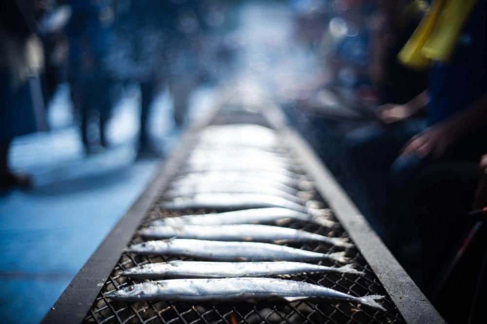 のインスタグラム：「Japan’s annual haul of saury — sanma in Japanese — has plunged in recent years, pushing up prices and leading to concerns that the days of enjoying this fatty, tasty and cheap fish — a fall delicacy and source of myriad cultural and culinary references — may be coming to an end.  Before the pandemic, for example, the saury festival in Meguro typically offered around 5,000 free fish to over 30,000 visitors on a first-come, first-served basis. This year, only 2,000 could be sourced from the port of Kesennuma, a city in Miyagi Prefecture long known for its plentiful saury stocks.  A confluence of factors are behind the prized fish’s depleted catch, including overfishing in international waters and changing ocean conditions. However, experts remain somewhat unsure as to why the savory fish has suddenly become so rare in Japanese seas.  Click on link our bio to read more.  📸: Johan Brooks  #saury #fishing #climatechange #ocean #japan #festivals #environment #秋刀魚 #目黒さんま祭り #環境」