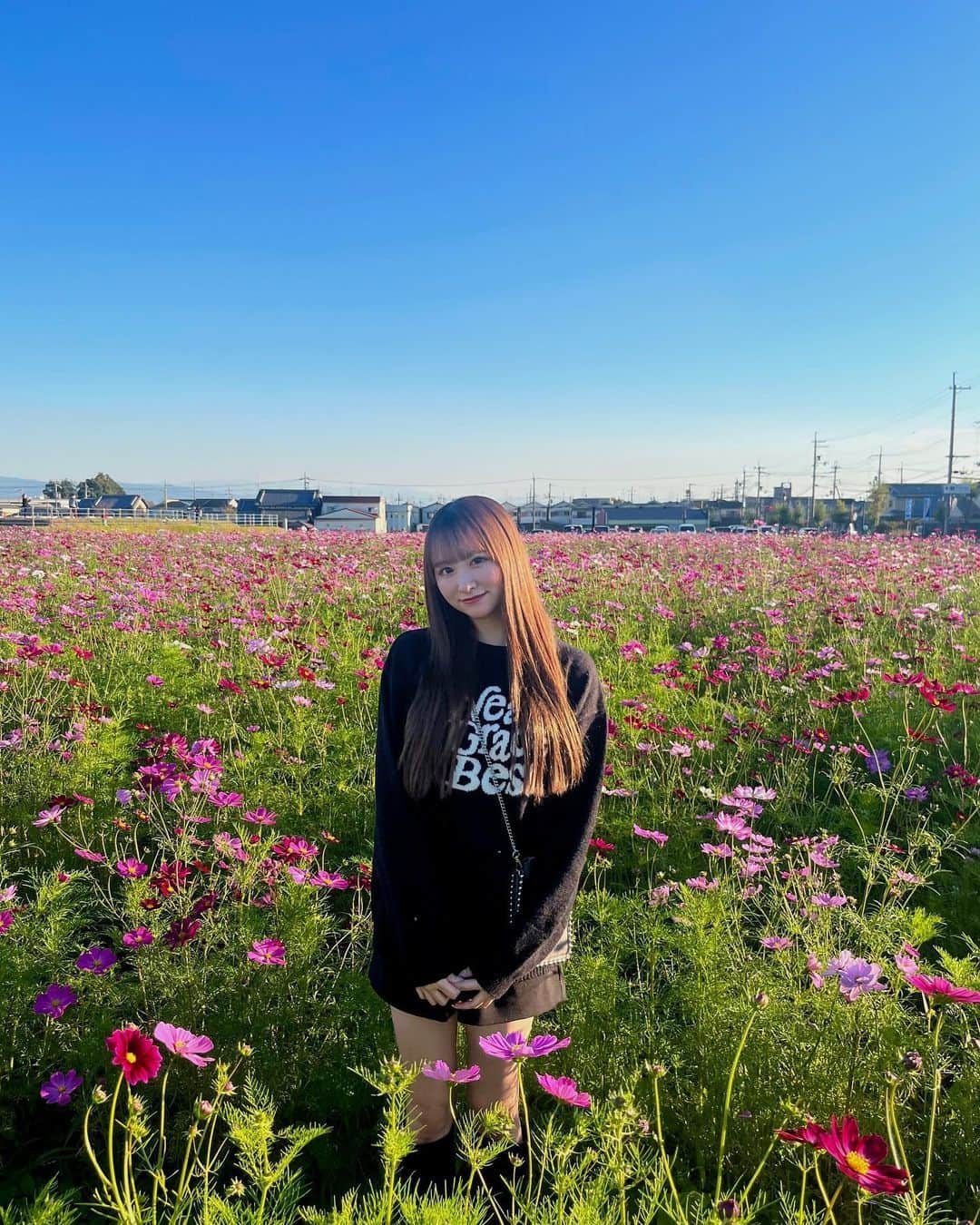 のインスタグラム：「シーズンごとにお花見に行くのだいすき」