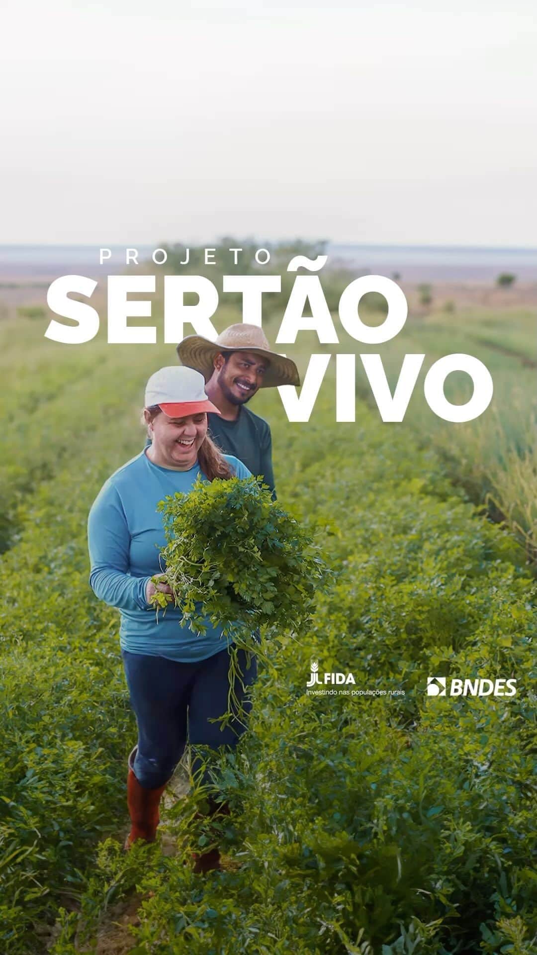 のインスタグラム：「O governo federal lançou hoje, em parceria com o BNDES e o FIDA, o Projeto Sertão Vivo, com o objetivo apoiar projetos no Semiárido nordestino que promovam o aumento da resiliência climática da população rural.  🎥 Audiovisual/ PR」