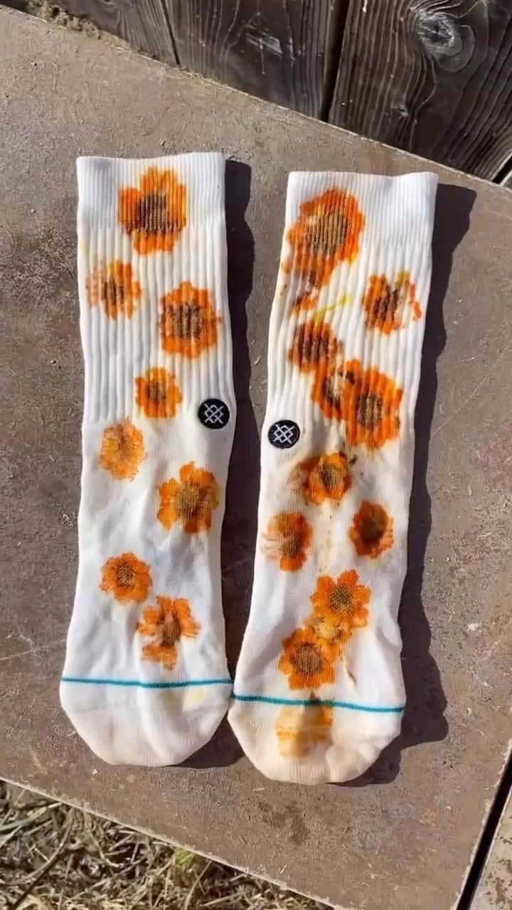Stance Japanのインスタグラム：「パーフェクトキャンバス🎨 お花を使ったICONソックスのエコ染めシリーズパートぱーと4、秋バージョンです🍂🧦🌼   アートワーク by @summeringalls   #stitcheddifferent #ありきたりはつまらない」