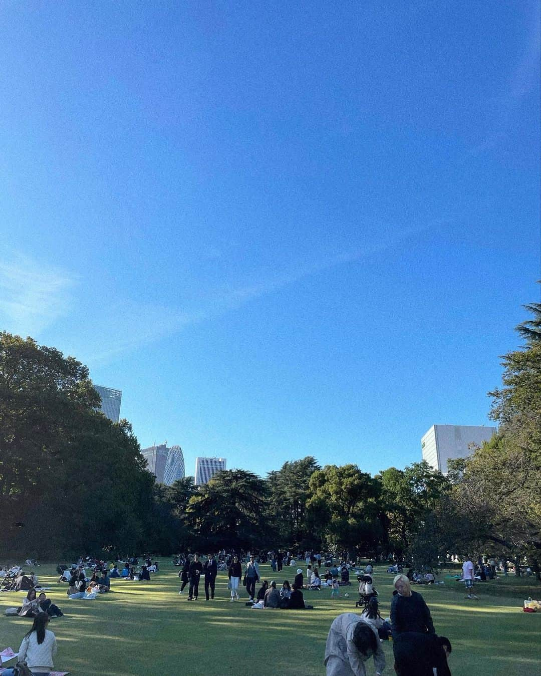 西井万理那のインスタグラム：「お散歩日和🌞たまに行く新宿御苑すき、 この秋は芸術でもなく読書でもなく、ゲームに本気！ ドラクエXとマリオ新作とポケモンメザスタとオーバークック２とポーカーなどなど、、昼夜逆転2023秋🥲 （ゲームは何故深夜のほうがはかどるのか！）」