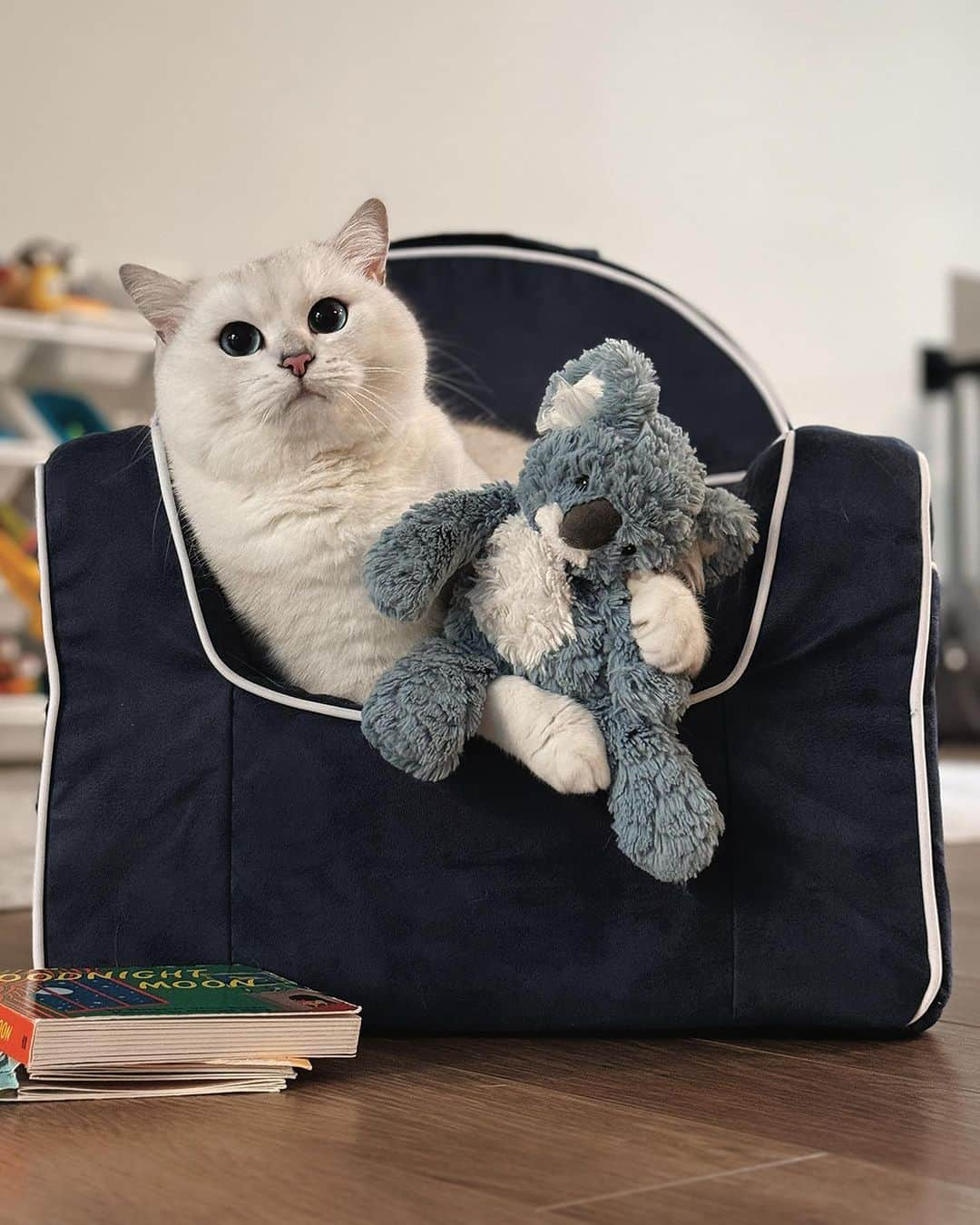 コビーさんのインスタグラム写真 - (コビーInstagram)「So you might be wondering why I haven’t been posting as much.   Well, my humans had another human, which is both good and bad.   Good in that I have a lot more new toys and table-scraps. Bad in that I miss you all as much as I miss peace and quiet.   Any tips on how to deal with mini-humans, please let me know. I’m only sleeping like 16 hours a day compared to my usual 18, so I could use them. 😽😽 ❤️❤️」10月24日 21時32分 - cobythecat