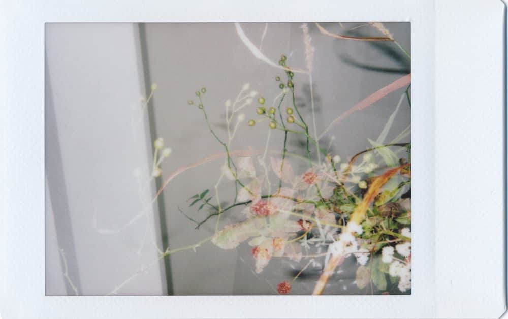 黒河内真衣子のインスタグラム：「Mame Kurogouchi Aoyamaのエントランスにてお客様を出迎えたのは、二代 田辺竹雲斎による花籠とそこに生けられた初秋の草花。 ショーウインドウを持たない普遍的な趣の建築に花籠は季節を添える。  一枚のポラロイドにふたつの像を重ねていく。 シャッターとシャッターの合間、限られた時間と距離、 光と影の間でめいいっぱいの偶然の美を見つけ出す。  2023年9月21日 ヤマハハコ、ワレモコウ、レンゲツツジ、野薔薇の実、ススキ、リンドウ  Upon entering Mame Kurogouchi Aoyama guests are greeted by autumn flowers arranged in flower basket by Chikuunsai Tanabe II.  Though without any show windows, flower baskets add a touch of season to the architecture.  Two images are superimposed on one polaroid.  In between shutters, between limited time and distance, between light and shadows, beauty is discovered.  September 21, 2023 Pearly Everlasting Flower, Burnet bloodwort, Japanese azalea, Wild rose fruit, Silver grass, Gentian  The Story by Mame Kurogouchi Photography @erika.yoshino_info  Words & Edit @kontakt.press  Translation @s_miyamoto   #mamekurogouchi  #thestorybymame」