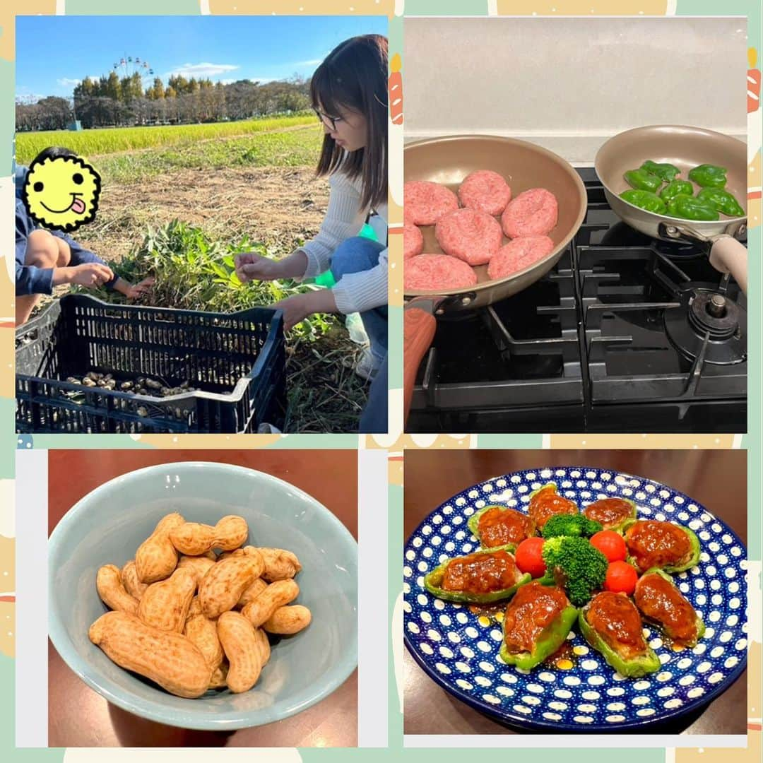 小倉優子のインスタグラム：「今日のお夕飯は、 収穫したピーマンで肉詰めを作りました😊✨  デザートは、茹で落花生🌟 美味しかったぁ💓  今日は、農家さんの話をしながらお夕飯をいただきました🙏🏻✨  長男が学校でちょうど農業の勉強をしていて、 「農業の高齢化」について教えてくれました🍚  農業体験を通して少しでも何かを感じてもらえて良かったです‼️‼️  日々子育てを通して私も学ぶことばかりです🌟」