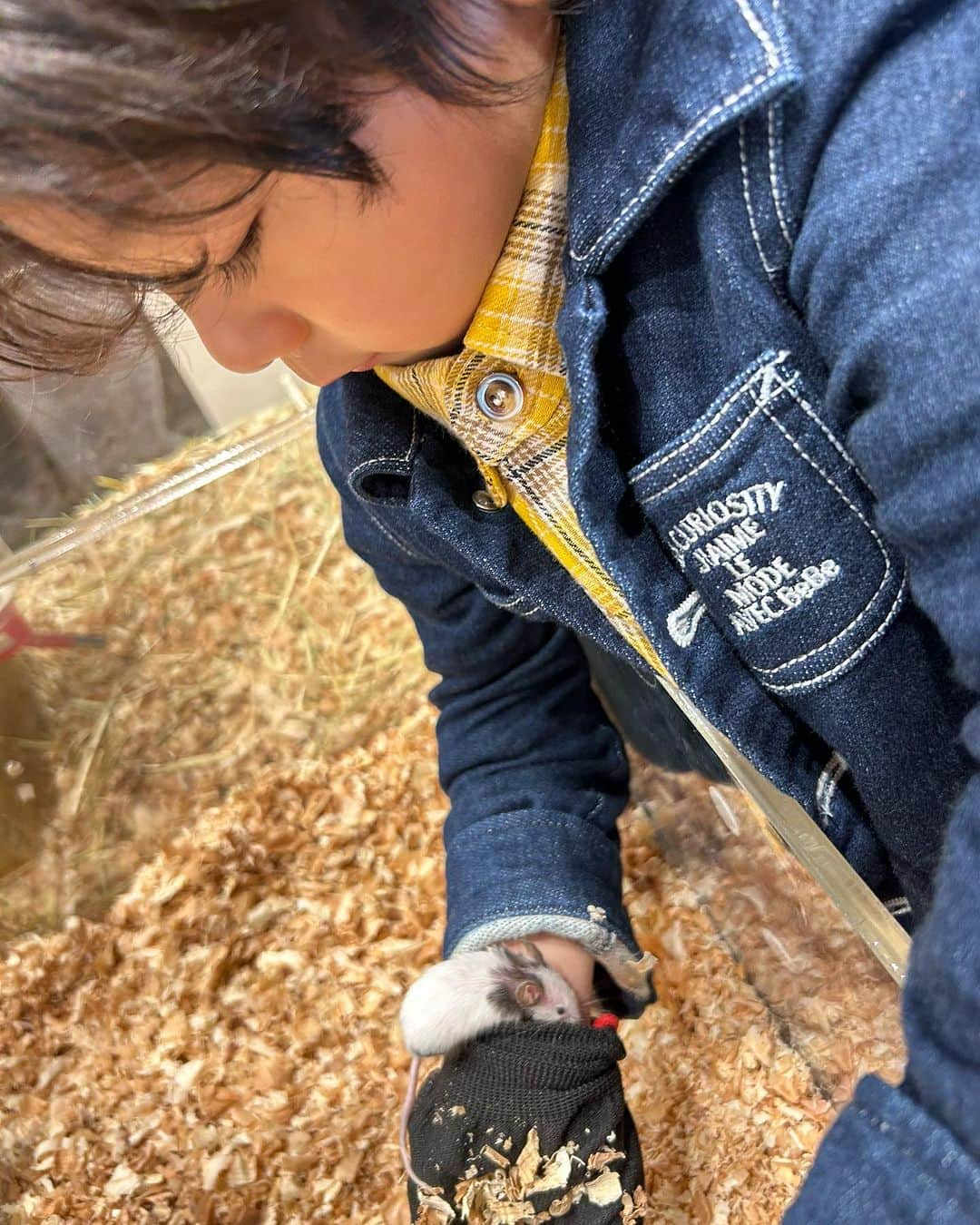 世手子さんのインスタグラム写真 - (世手子Instagram)「PR  watch your head🦜 A cafe where you can stay forever🐕🐢🐣🦉🐇🐀🐍🦎 My son has become friends with a parakeet🤝🕊️ @moff_lalaport.tachikawa  #moffanimalcafe #モフアニマルカフェ #犬カフェ #立川カフェ #ふれあい動物園 #moff #ららぽーと立川立飛 #アニマルカフェ #動物カフェ 行ってきたよ(*^o^*) もうこの辺は一日中お子様が遊んでいられる場所ばかりできちゃったら出られないねw 動物カフェもいつまででもいれちゃうw 色んな動物さんがいてびっくり‼️ 寿司太郎はんはインコちゃんに懐かれちゃったねw 髪の毛がくるくるしてるから🪺巣だと思われたかな？w かなり頭上注意⚠️だったけどw インコさまはお利口さんでした✨✨ 普段見られない動物たちとふれあえたり間近で見れるのでとてもオススメだよ(о´∀`о)」10月24日 23時00分 - rojide