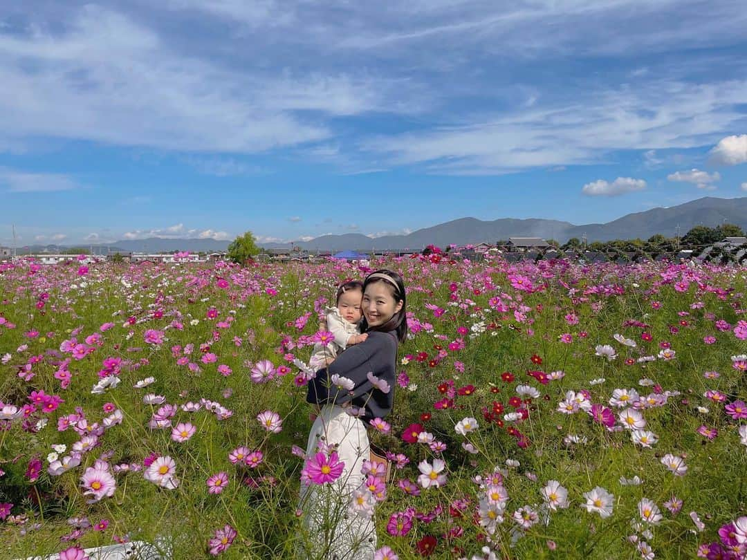 天舞音さらさんのインスタグラム写真 - (天舞音さらInstagram)「義実家訪問と家族旅行🧳  週末は寒波が来るとニュースで聞いていたけど 土曜日以降はぽかぽかお天気で暑いくらいだった☀️  お宿の帰りに秋桜園のイベントを見つけたので寄ってみることに☺️☺️  家族3人で記念写真でも…と思ったけど ベビほとんど爆睡🤣  ここで遊んで🚄で爆睡…してくれる予定だったんだけども。。😭 ベビ、新幹線に乗ってから覚醒し、最寄りに着くまで元気いっぱいおしゃべりしてたww  ま、これも思い出だね🤭🤭  #コスモス畑」10月24日 22時57分 - sara.amane