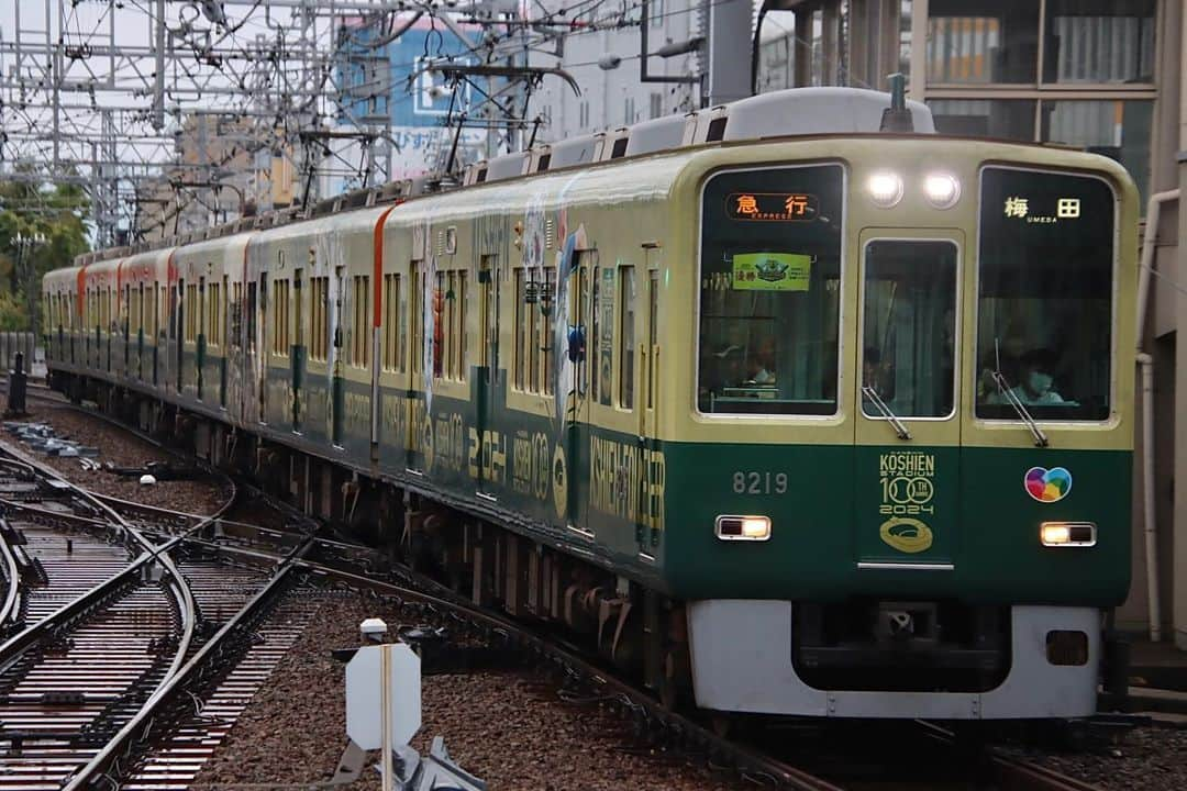 徳永ゆうきのインスタグラム：「. . 8000系にも 甲子園号がある。笑 . -2023.10.01- . #鉄道写真 #撮り鉄 #鉄道好き #阪神電鉄 #阪神電車 #尼崎駅 #8000系 #急行 #梅田行き #甲子園 #甲子園ラッピング」