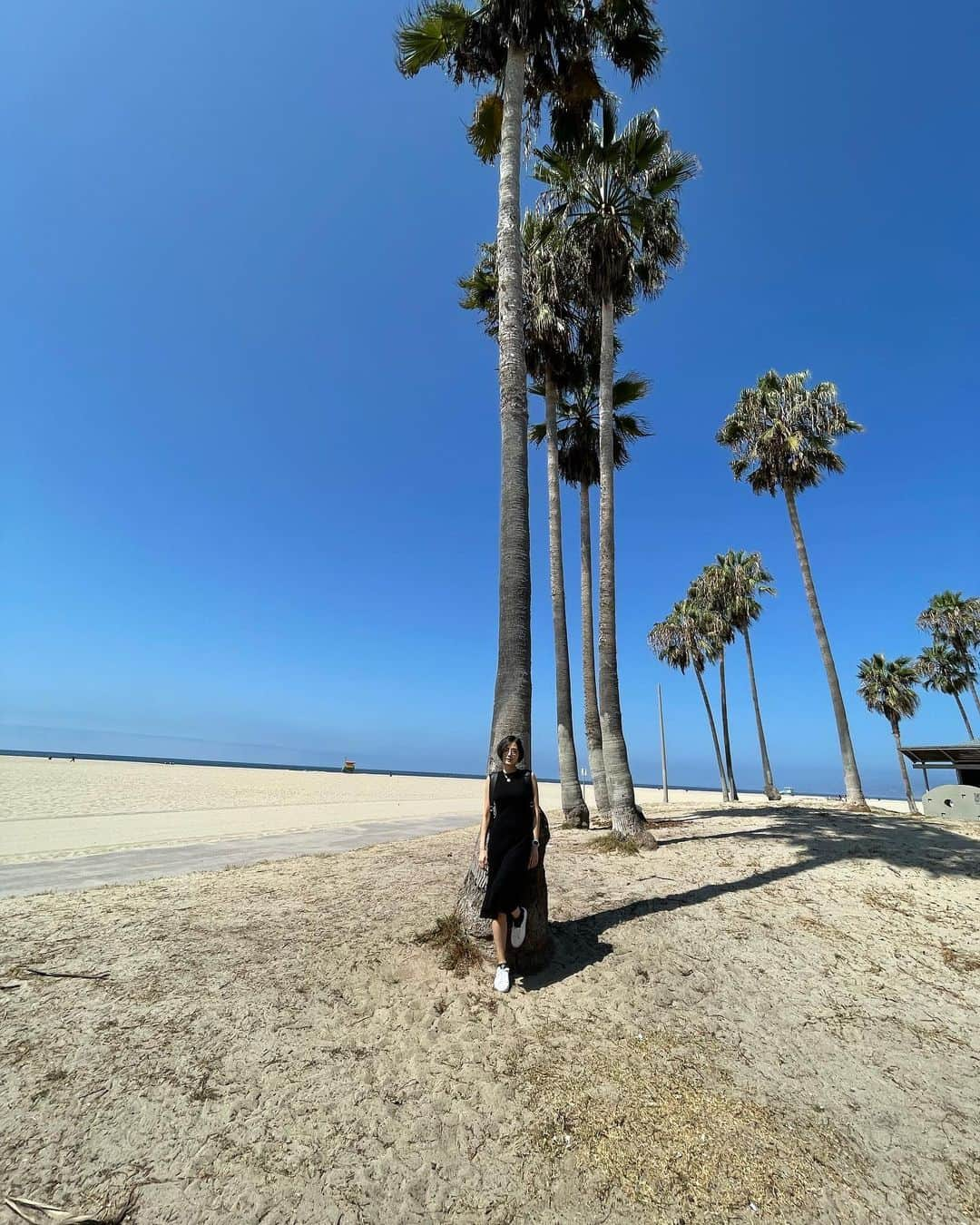 片山萌美さんのインスタグラム写真 - (片山萌美Instagram)「🕴️🌴  🌴🌴🌴🌴🌴 🌴木と同化中🌴 🌴🌴🌴🌴🌴  #la #losangeles  #veincebeach　 #過去pic #moemikatayama」10月24日 23時18分 - moet_mi