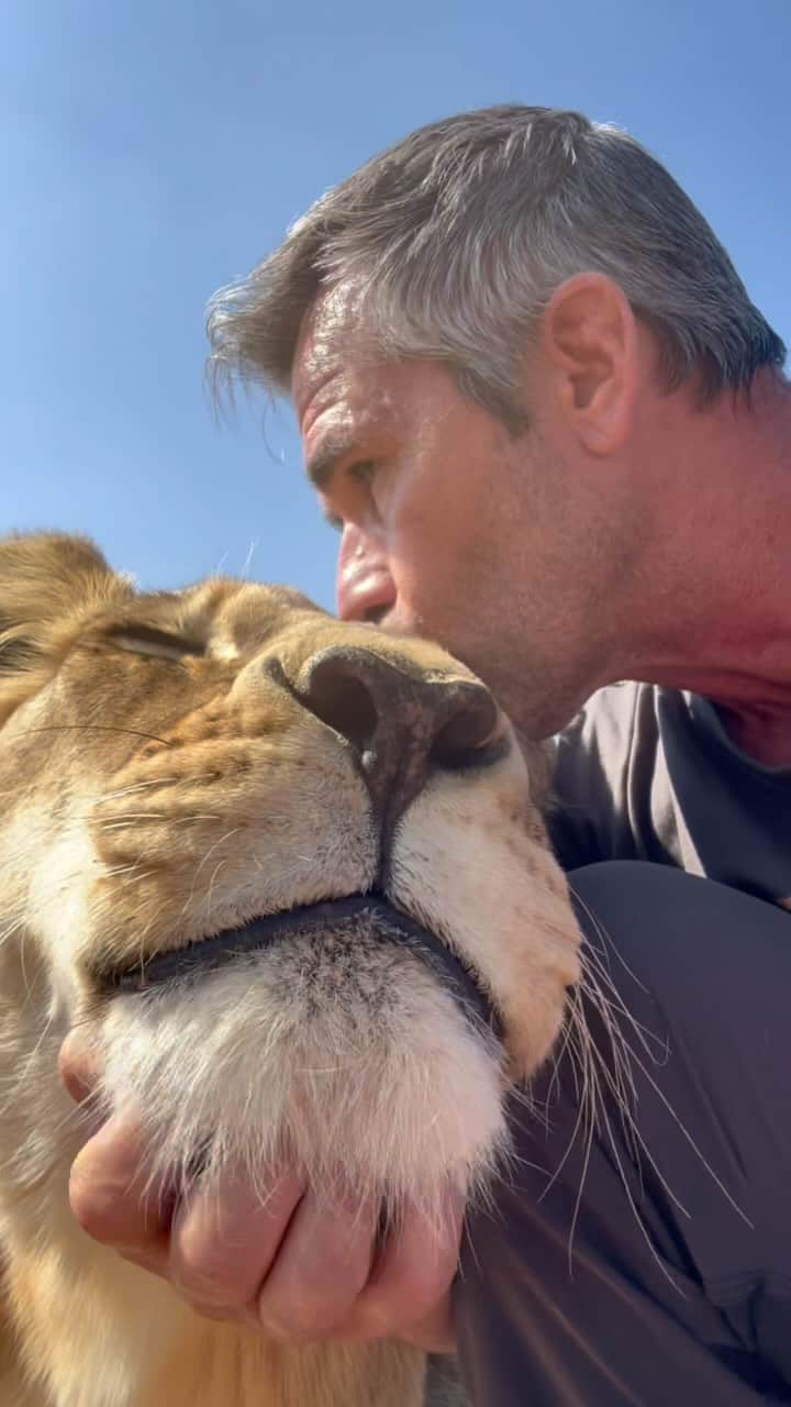 Kevin Richardson LionWhisperer のインスタグラム