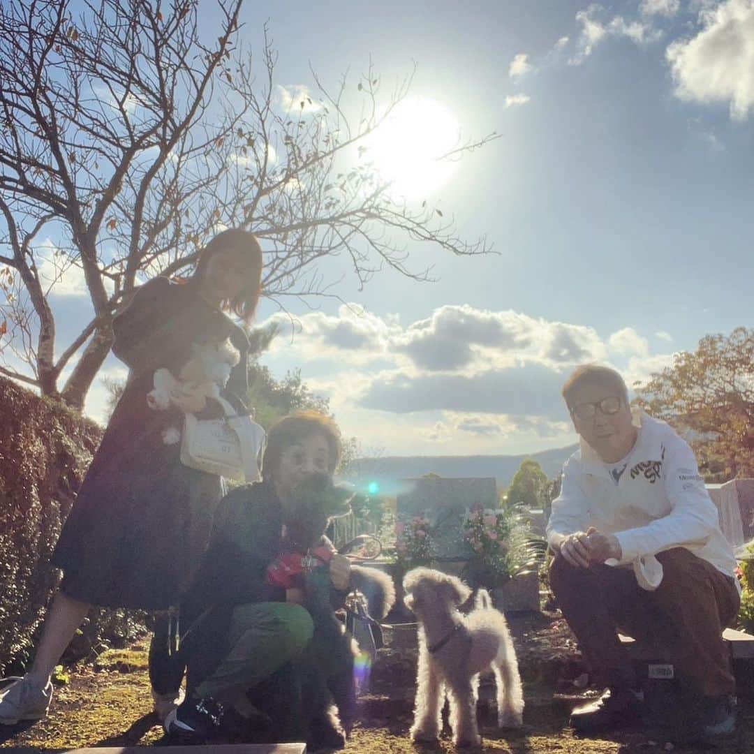 西丸優子のインスタグラム：「両親とブルースとレオチルで、 久々のお墓参り&湯河原旅行。  お墓の前のレオンちゃんへの後光の差し方が神がかっている。。。✨  今日はお天気が良かったので、とっても美しい富士山が見れました🗻 両親と3ワンズが正面向いてる写真が撮れたのも嬉しい♪  家族とのんびりゆっくり、美味しい物を食べて、色んなお話も出来て、良い時間でした😋」