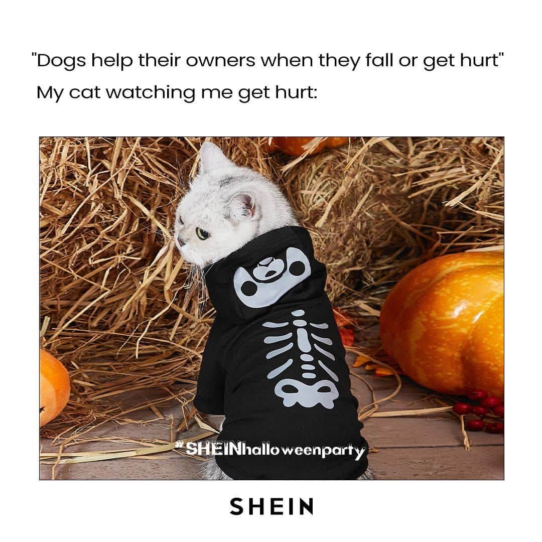 SHEINのインスタグラム：「CATS: *stare judgementally* 😼😭 Which PAWfully cute #SHEINhalloweenparty costumes would unleash your fur baby's spooky side? 👇  🔎 7003437 22282187 22282058  #SHEINinspo #saveinstyle」