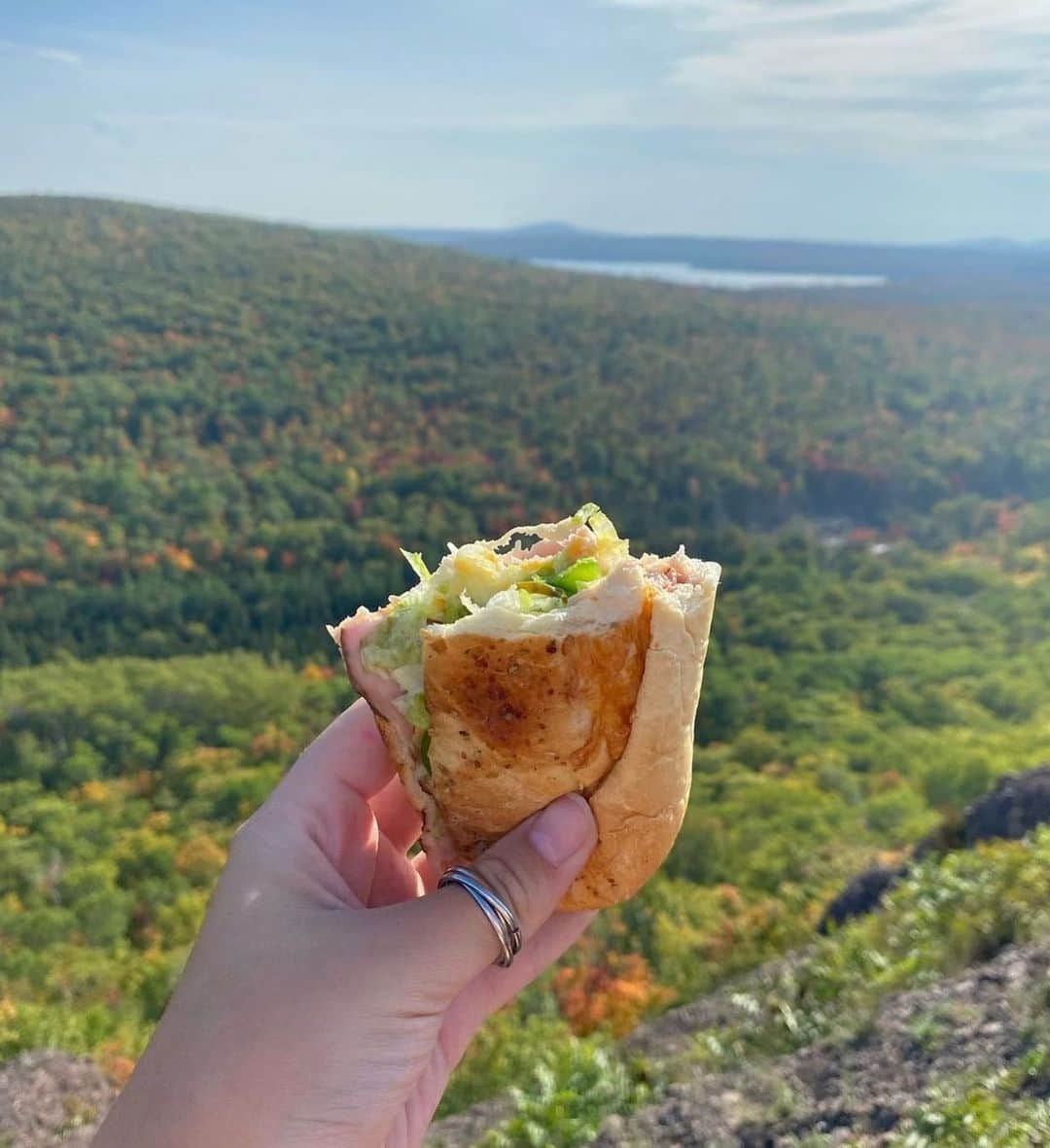 Official Subwayのインスタグラム：「this view>>> 📸: @_haleyholland_」