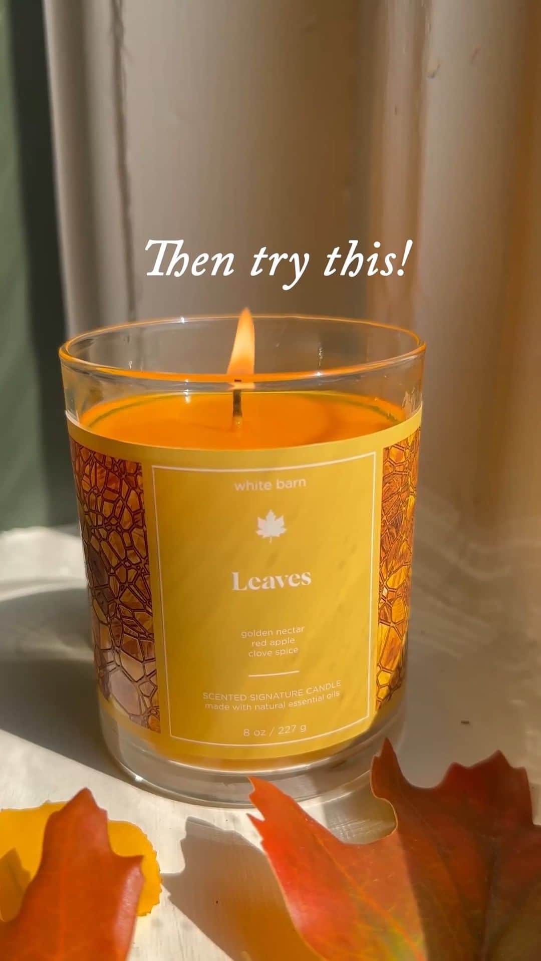 Bath & Body Worksのインスタグラム：「‼️ STARTING TOMORROW ALL SINGLE WICKS $5.50 (OCT 25)‼️ Doesn't matter if your vibe is Holiday or Fall, there's a Candle for it all!  🗓️ OCT 25-26 🤑 LOWEST PRICE OF THE SEASON 🤩 ALL Signature Single Wick + Mason Jar Candles 😍 Over 40 fragrances to choose from!   What fragrance are you grabbing first? ⤵」