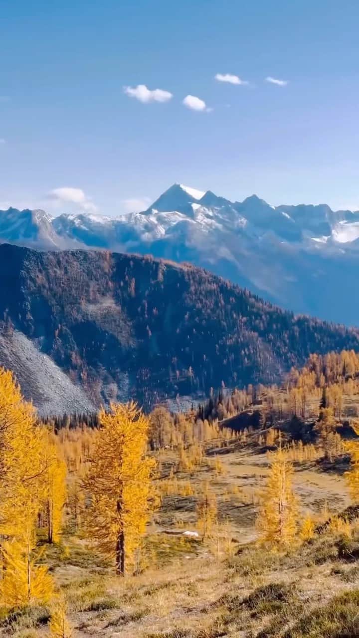 Explore Canadaのインスタグラム：「Unbe-leaf-able BC! 🍂  Have you seen the fall colours in BC? From gorgeous shades of orange, red and yellow this season cannot be missed. Let us know your favourite place to spot them below 👇  🎥: @laylarundle  📍:  British Columbia @HelloBC  #ExploreCanada #ExploreBC  Video description: Text reads “POV: it’s your first time seeing Fall in British Columbia” over an aerial view of a globe, zooming into the location of British Columbia. Various clips showing a person hiking, driving and exploring with their dog, while highlighting the red, green, yellow and orange leaves.」