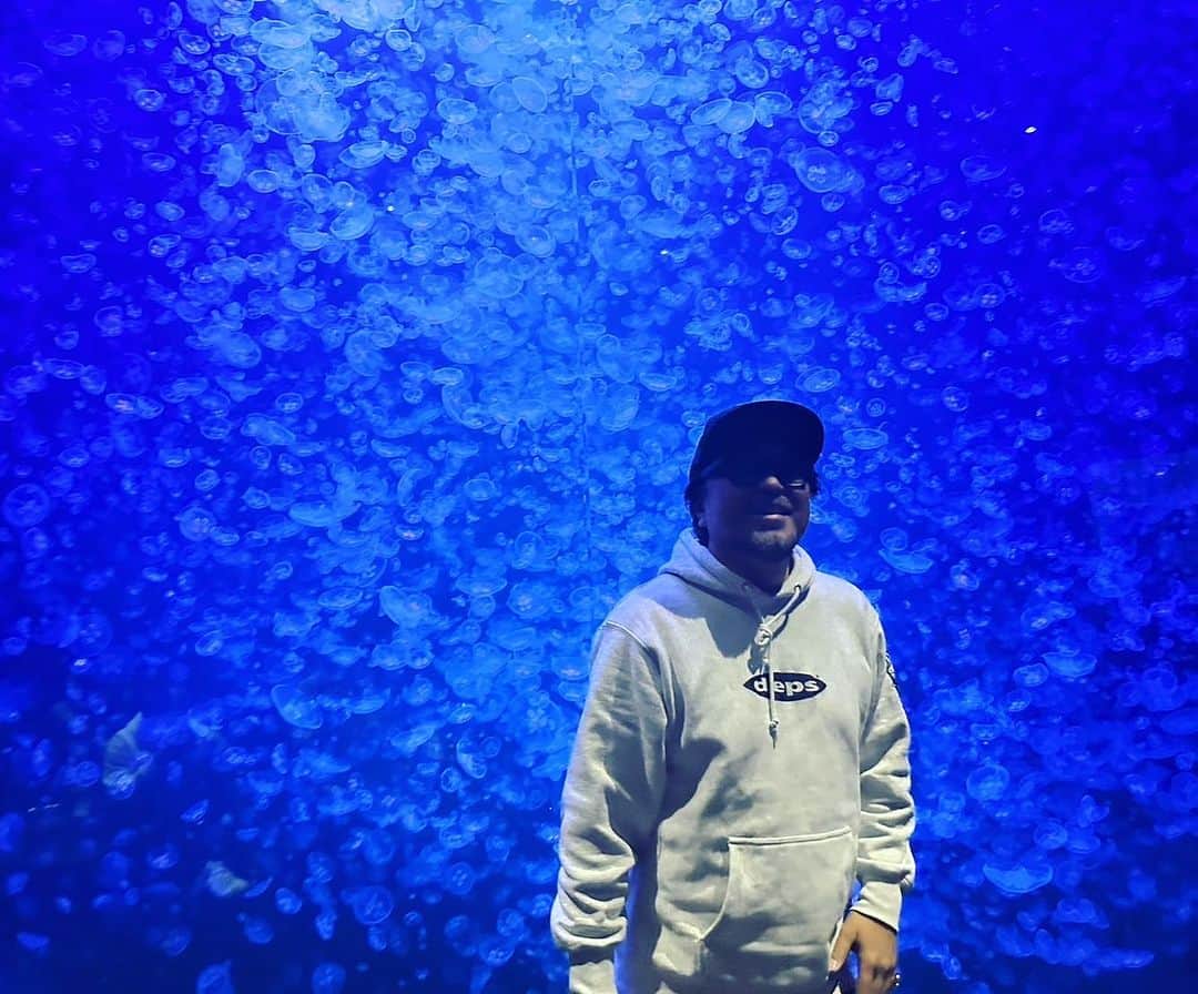 マッコイ斉藤のインスタグラム：「全部クラゲ！ #加茂水族館クラゲ  #山形観光」