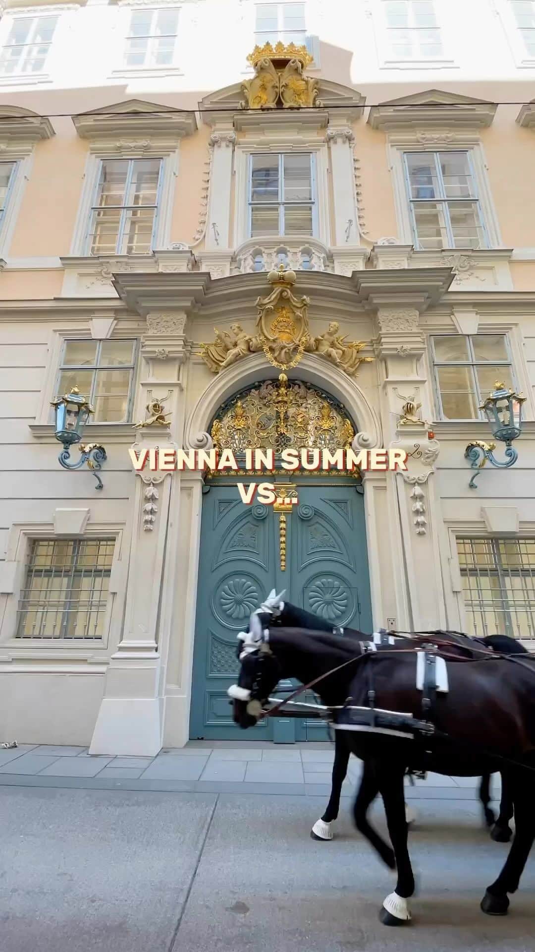Wien | Viennaのインスタグラム：「Which season do you prefer - Summer or Winter? ❤️🥰 by @storyofzhu #ViennaNow  #vienna #wien #travelgram #traveleurope #visitvienna #vienna_austria #snow」