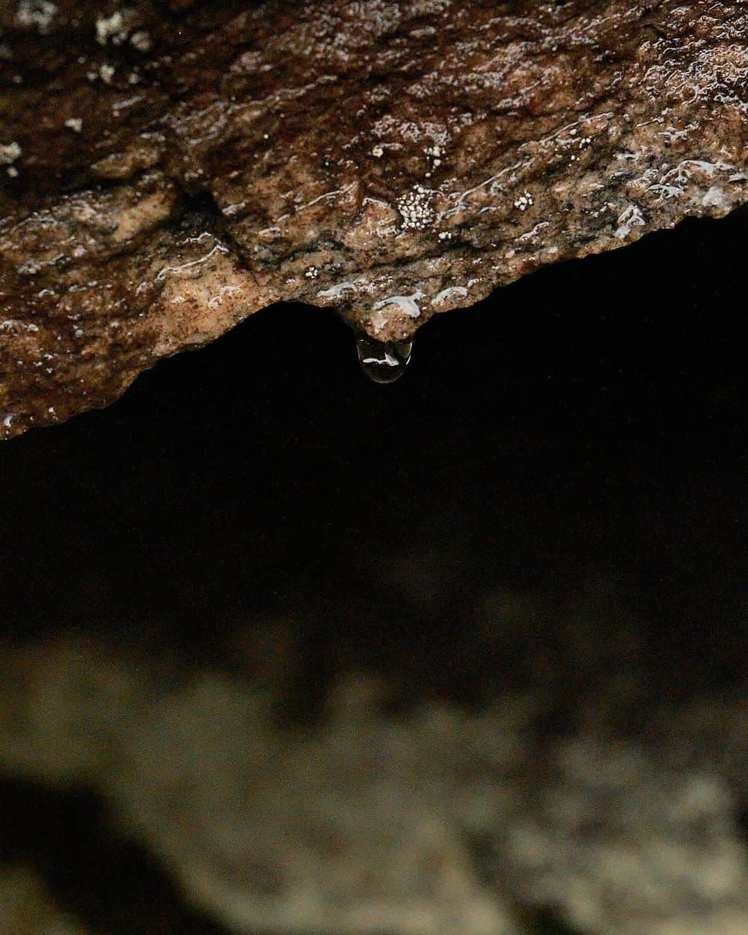 マチルダ・セーデルルンドさんのインスタグラム写真 - (マチルダ・セーデルルンドInstagram)「Found some dry rock 😍 So excited I could get some climbing in yesterday!   Despite heavy rain we found this boulder in Chironico, ‘the Alphane Moon’ (thanks to everyone for the recommendation). I did all the moves really quick and thought it would go down in a few tries, but then I kept falling (sliding 💦🤣) off the move to the last crimp about 10 times 😆 Hope to come back for a send later!   📸 @bill_jp_hamilton   #climbing #bouldering #ticino #ticinomoments #myswitzerland #switzerland @myswitzerland @ascona_locarno @ticinoturismo」10月25日 2時37分 - matilda_soderlund