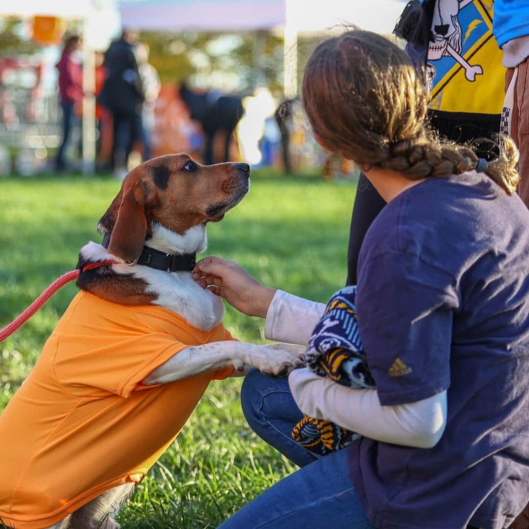 Subaru of Americaさんのインスタグラム写真 - (Subaru of AmericaInstagram)「What's your pet's adoption story? 🧡 🐾   Subaru is proud to help make the world a better place for pets with over $51 million donated to national and local organizations, which has supported the adoption, rescue, transport, and health of over 420K animals.  #SubaruLovesPets」10月25日 3時53分 - subaru_usa